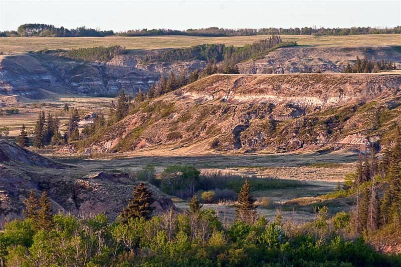 Donald & District Museum