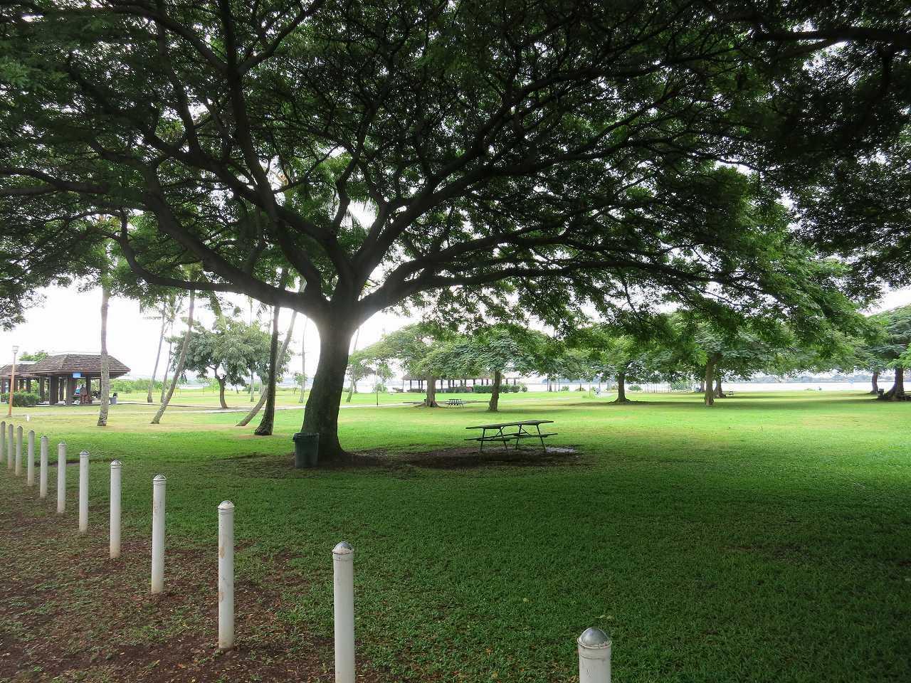 Neal S. Blaisdell Park