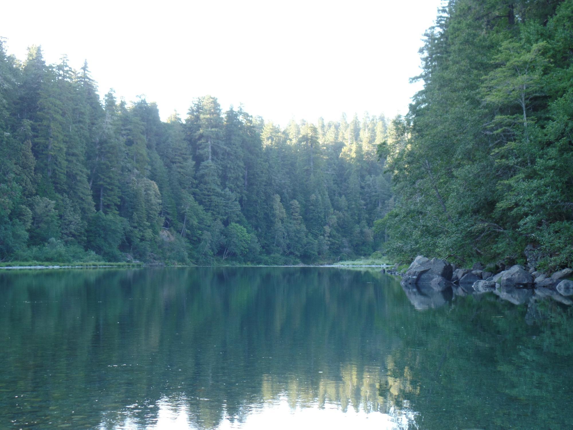 Jedediah Smith Campground