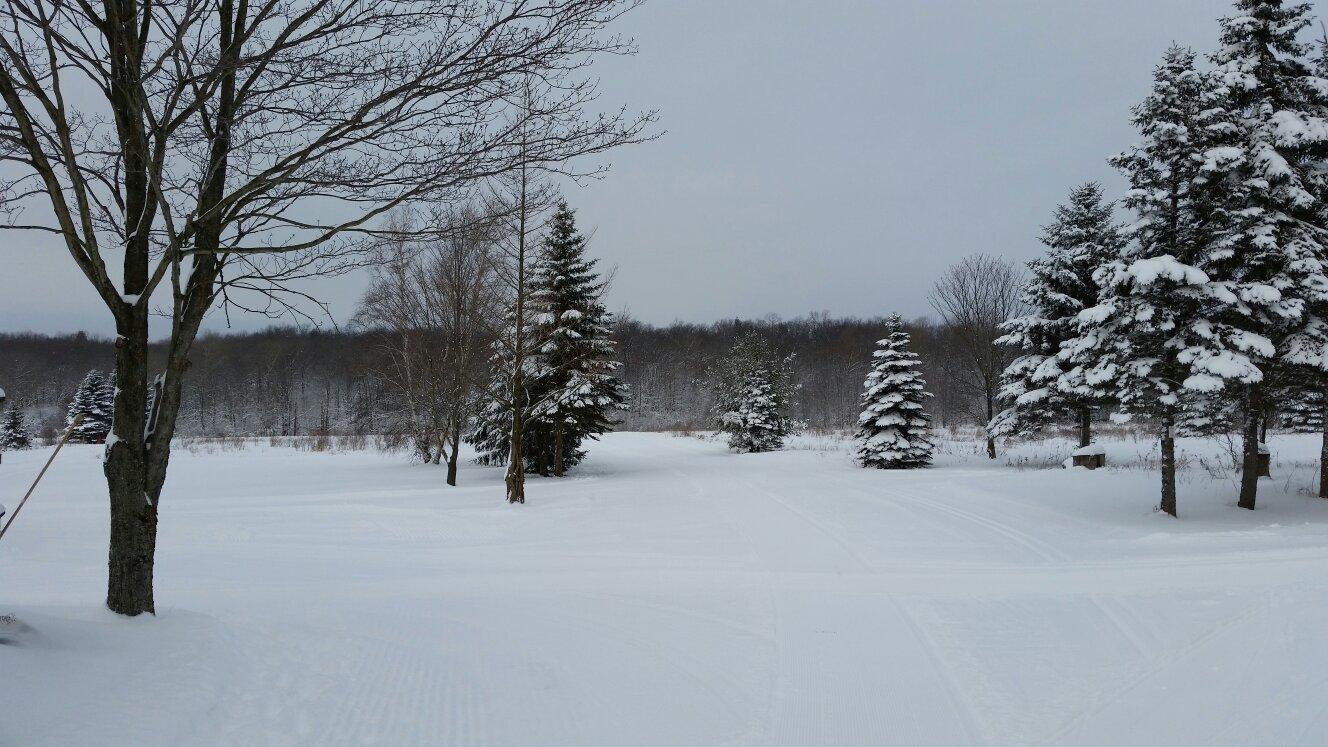 Photo by bgsucassandra