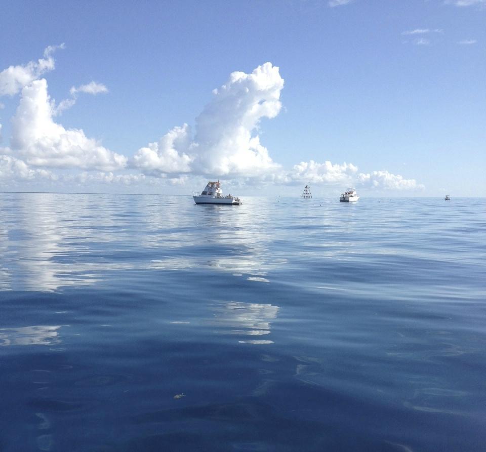 Dave's Scuba Connection