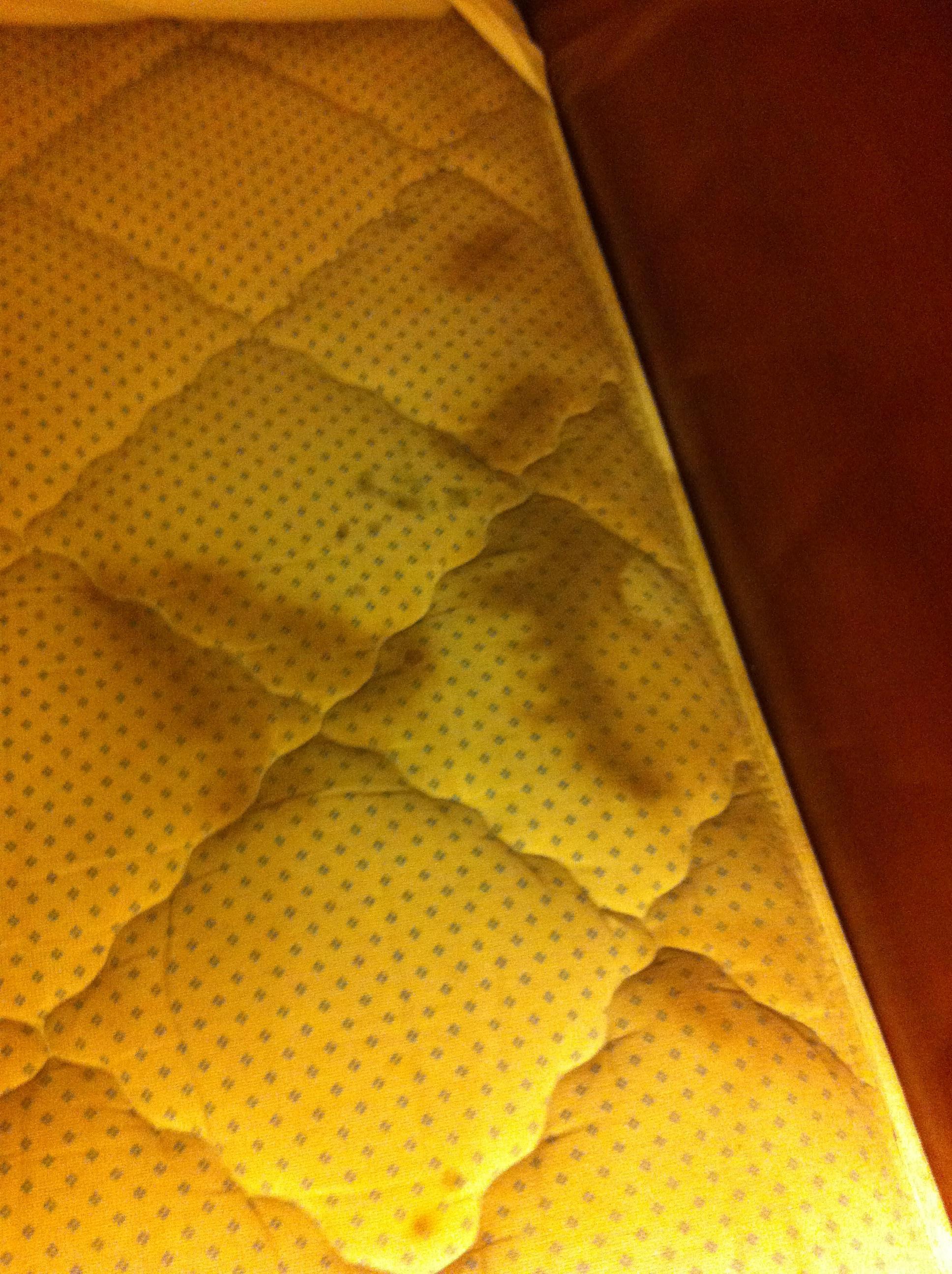 Rodeway Inn Hermiston-Umatilla