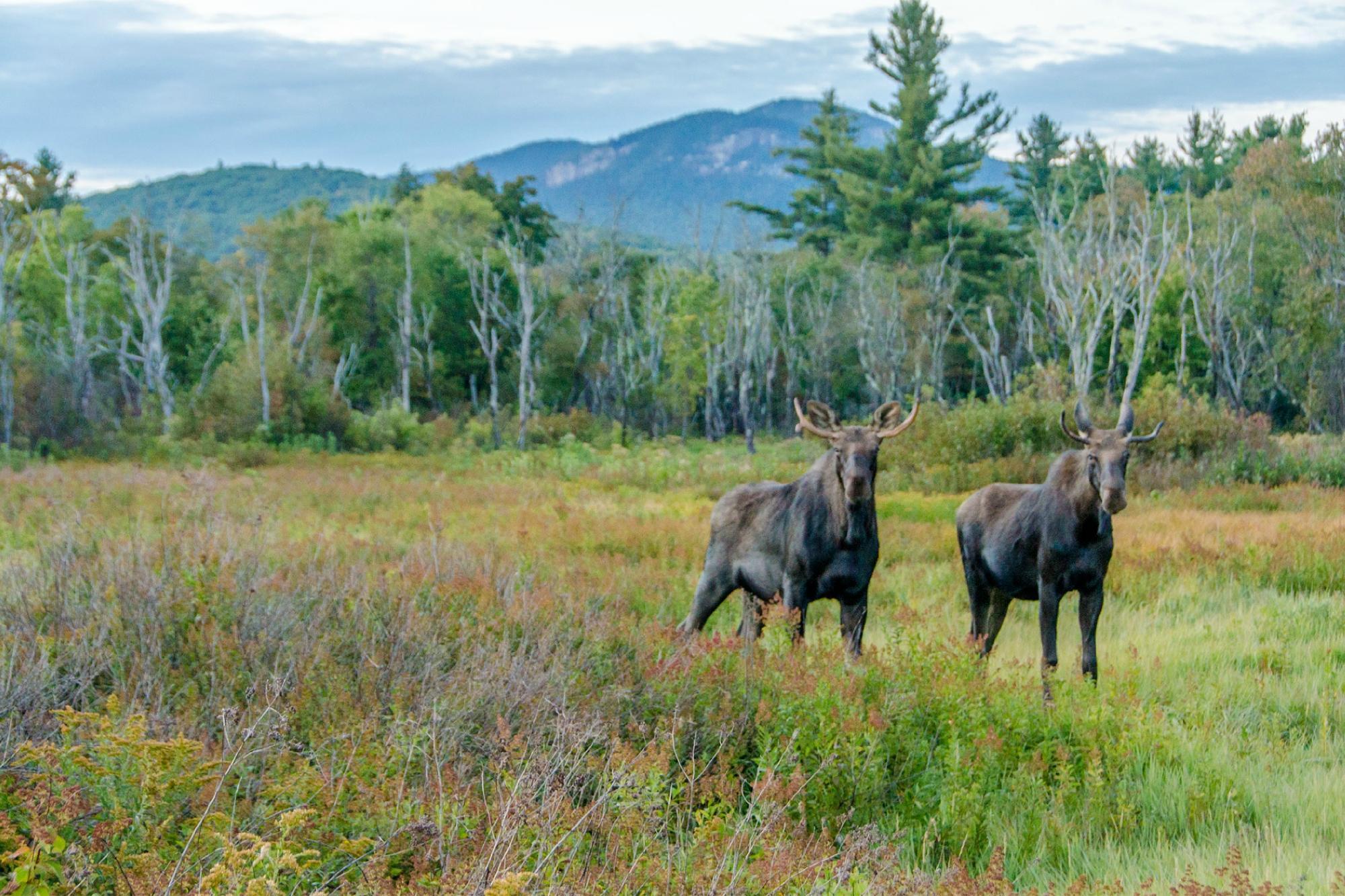 Photo by TopNotchInnMgmt