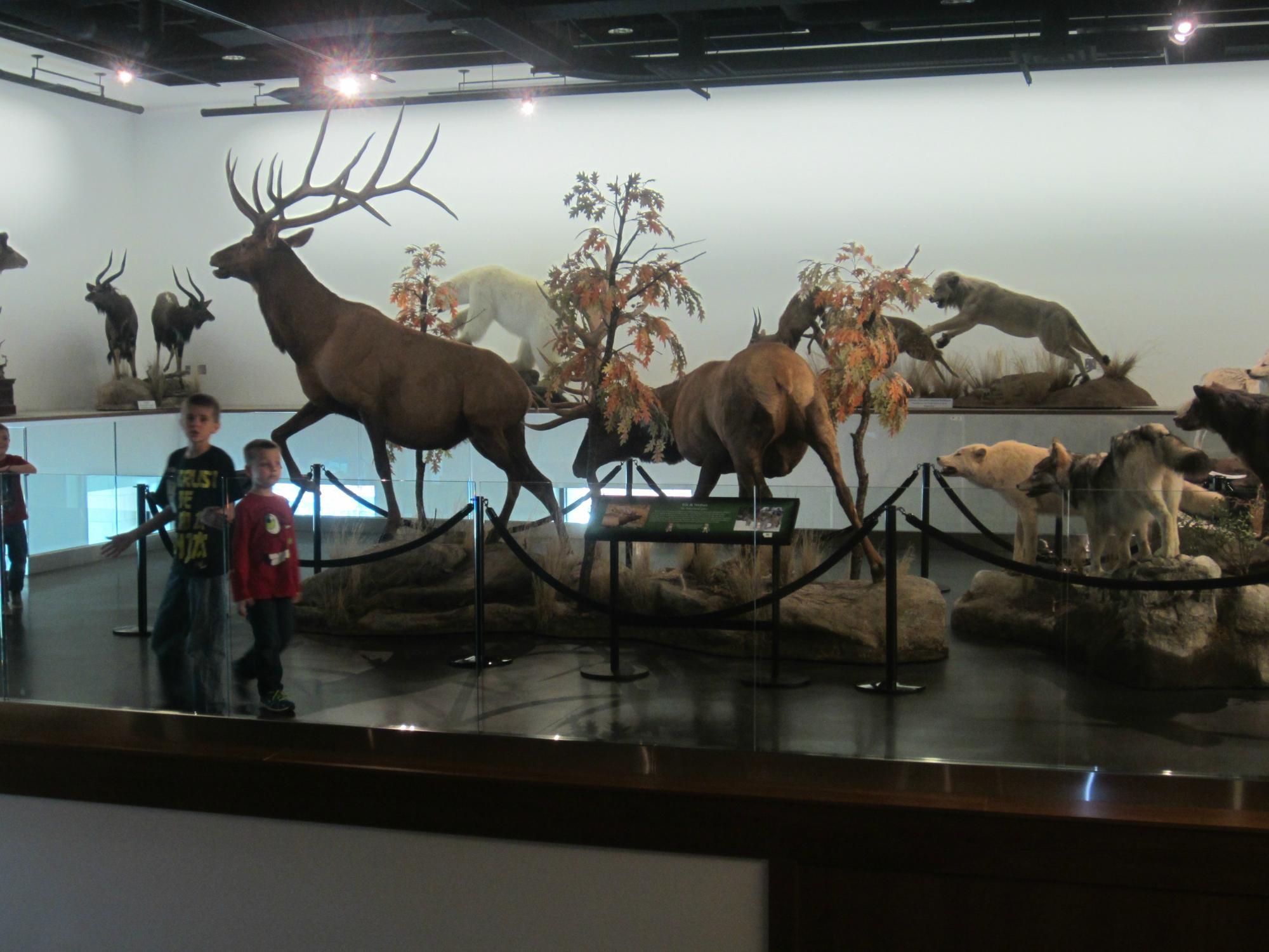 Monte L. Bean Life Science Museum