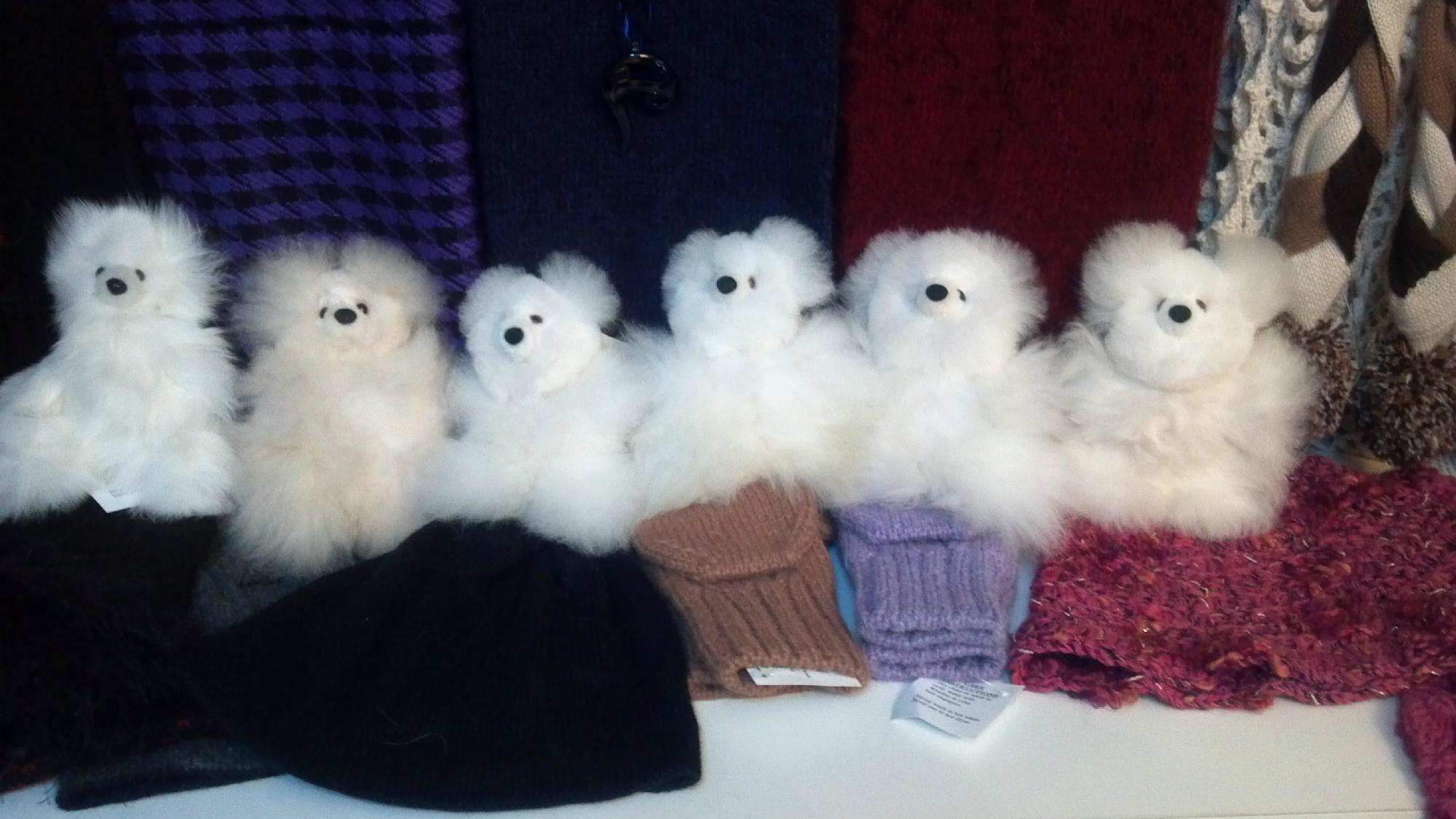 Sawdust Hill Alpaca Farm