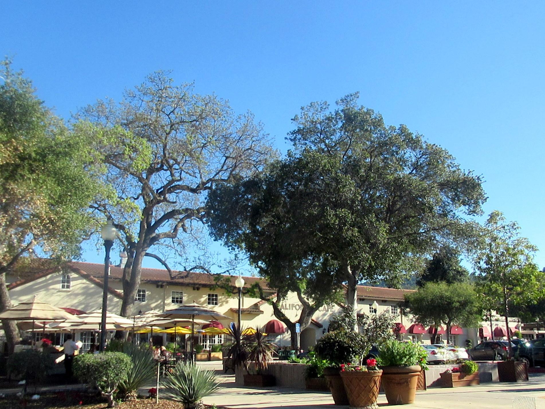 Los Gatos Shopping District