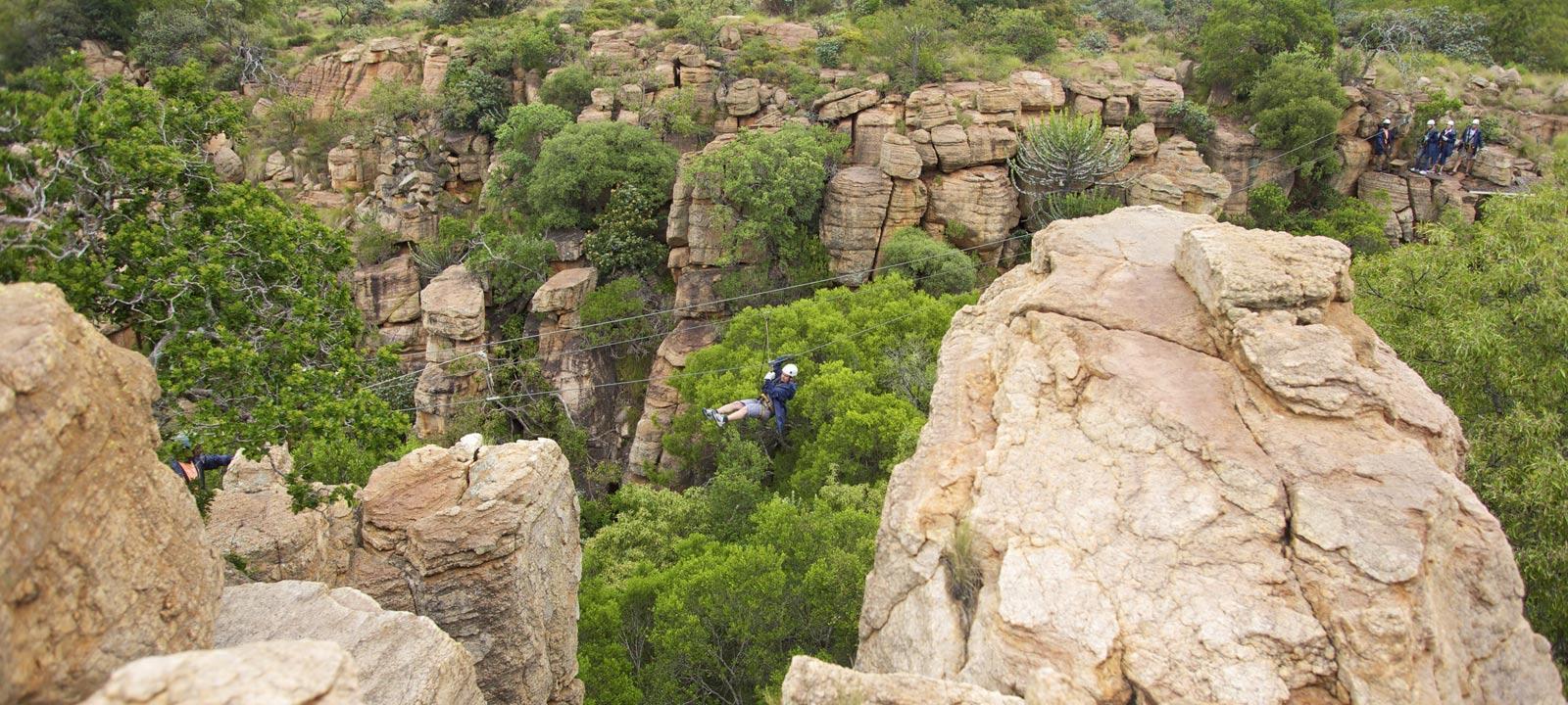 Safari With Us - Day Tours