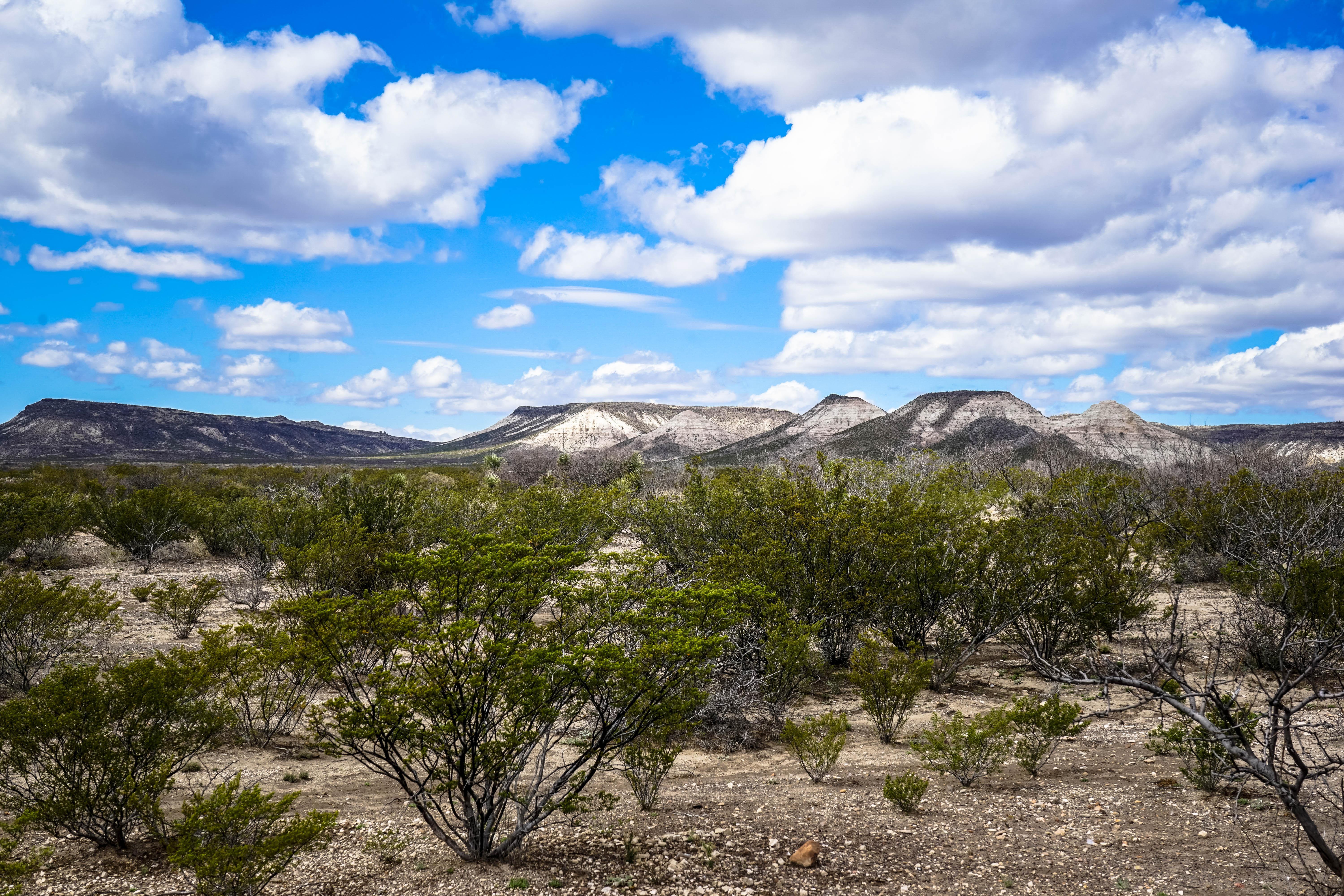 Rock Hunting in the Big Bend of Texas