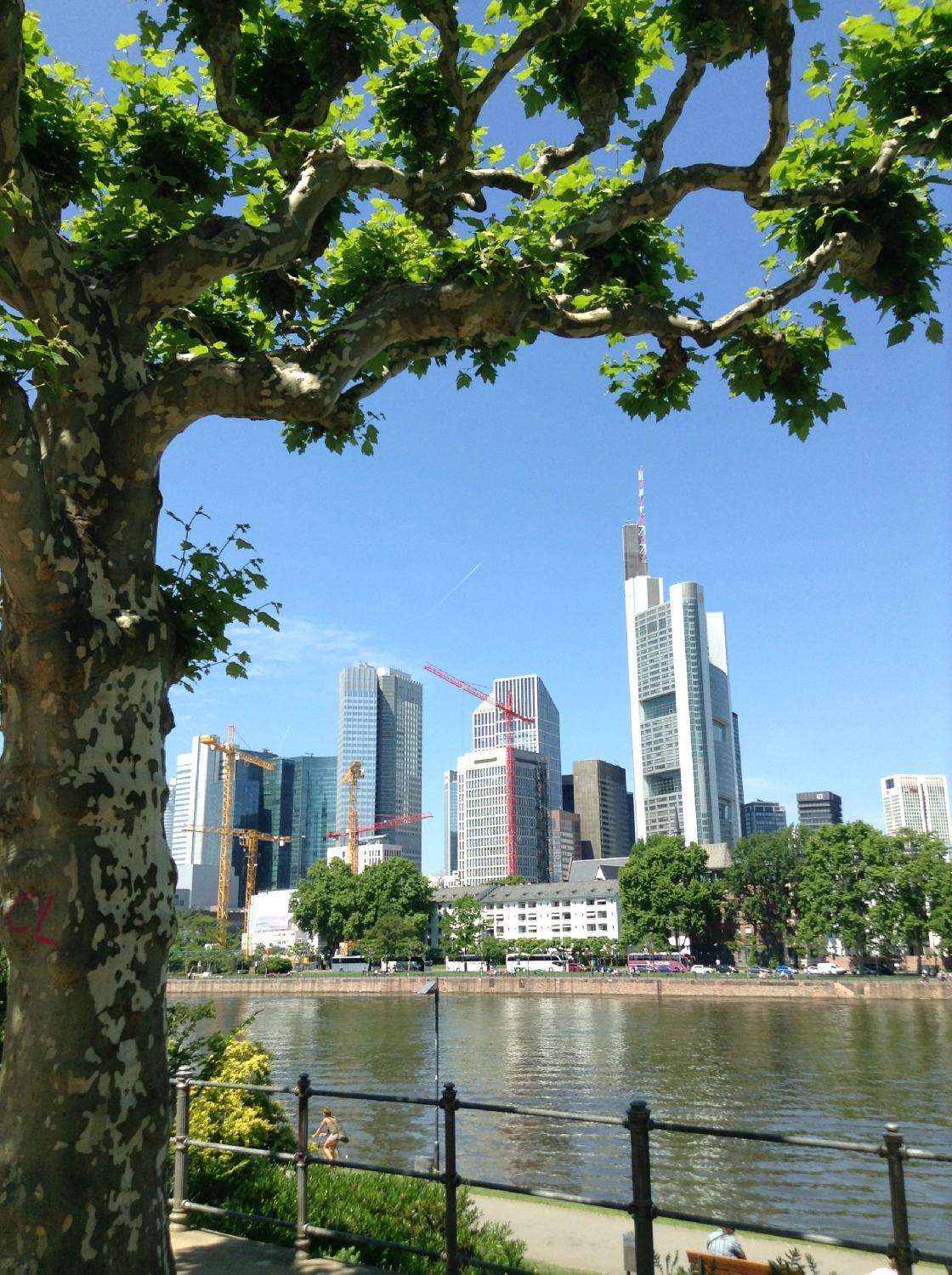 Photo by GustavoFasanaro