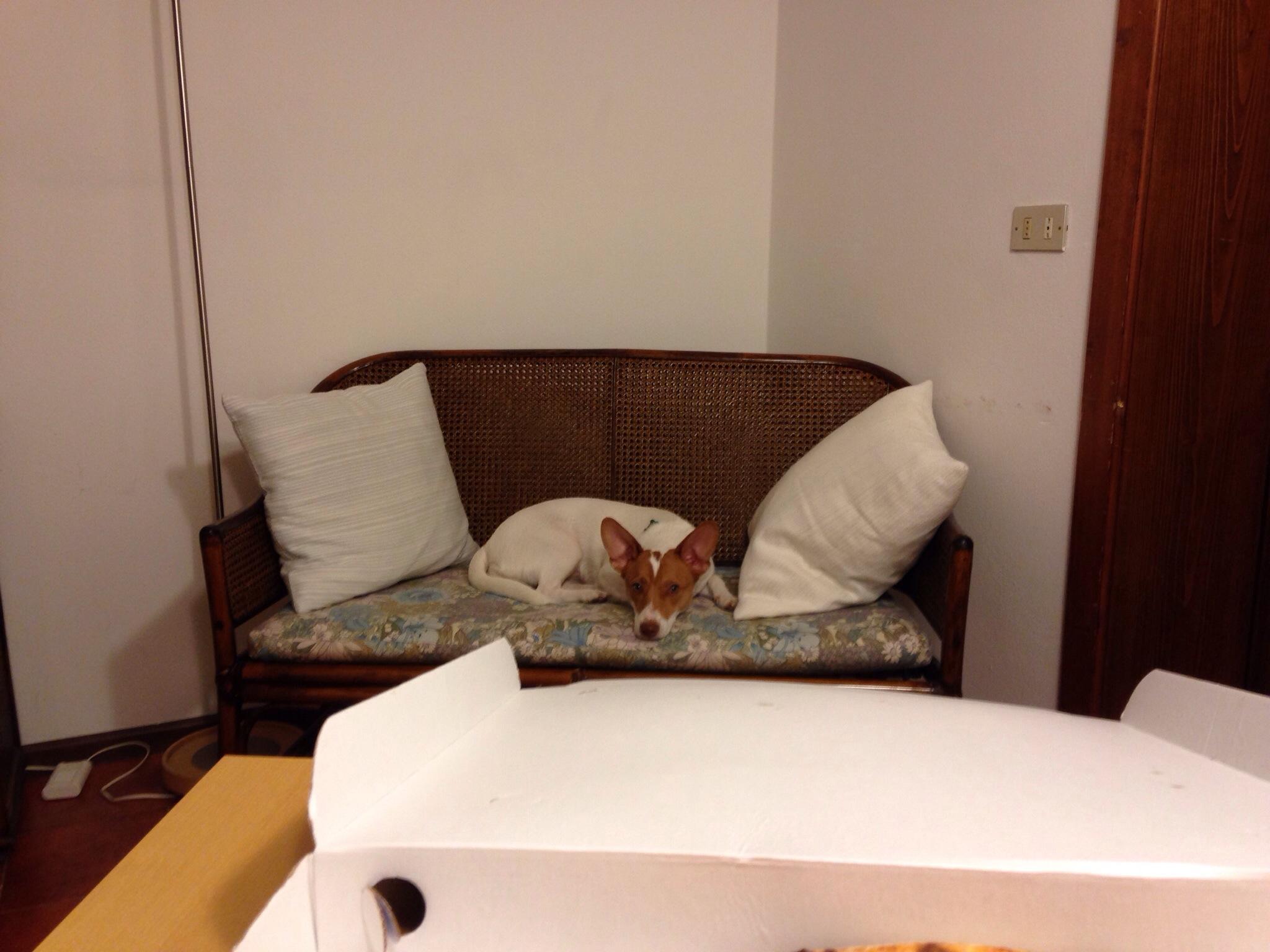 Bed and Breakfast I due cedri