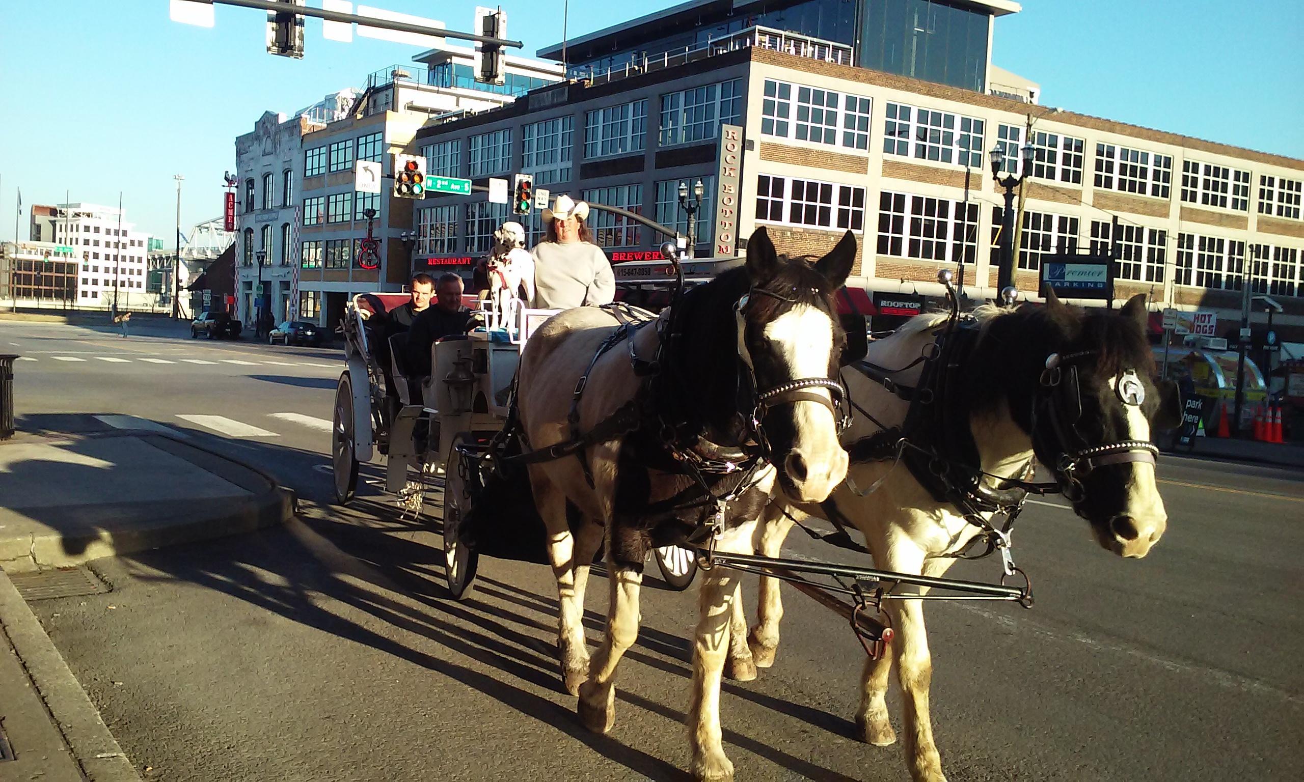 Cumberland Carriage Tours