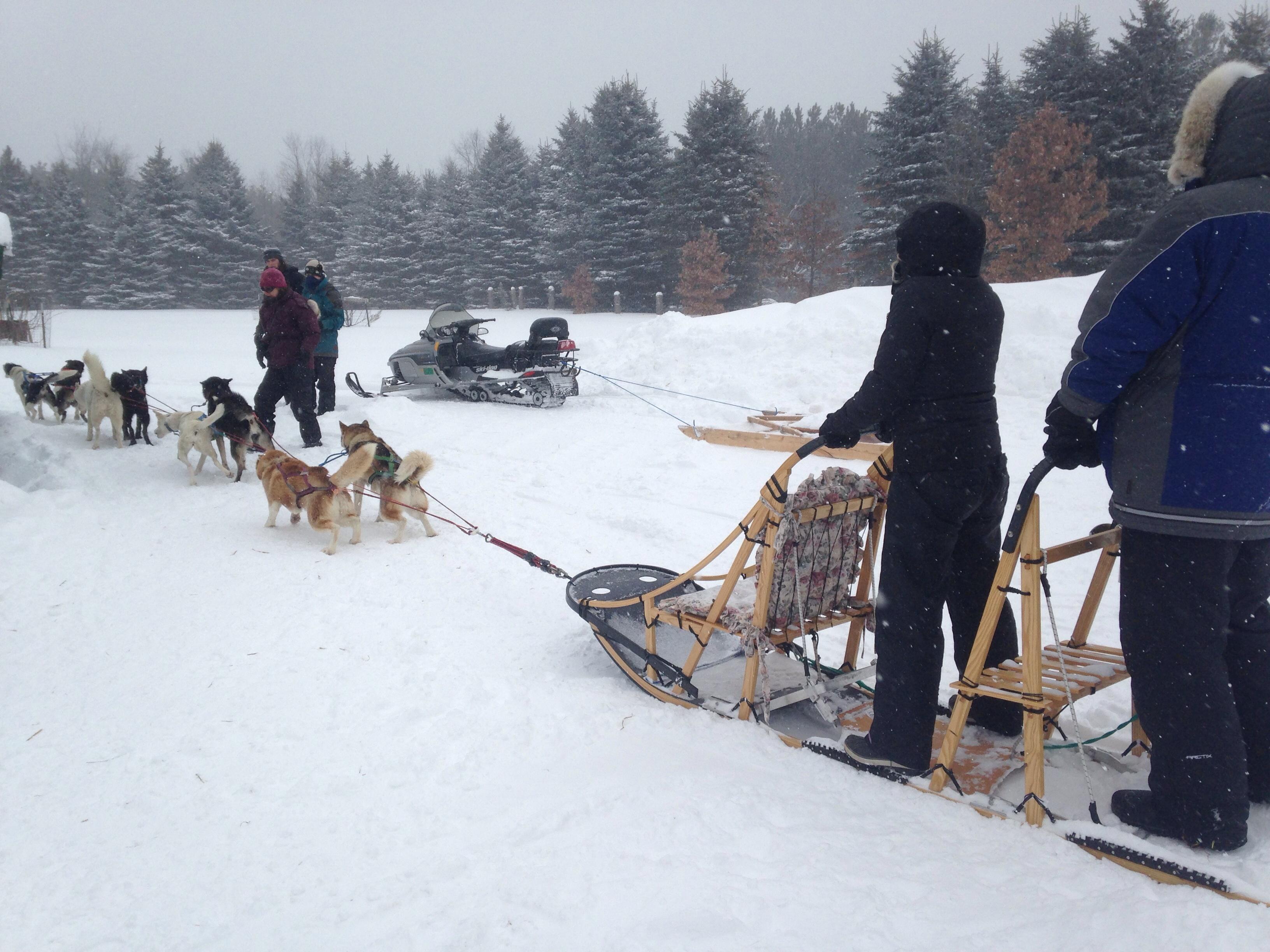 Shemhadar Dog Sled Adventures