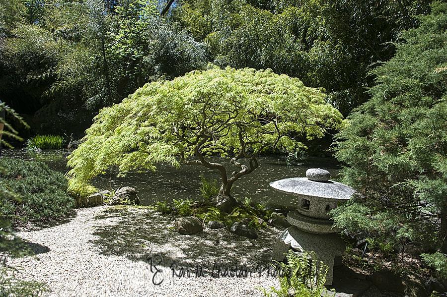 John P. Humes Japanese Stroll Garden