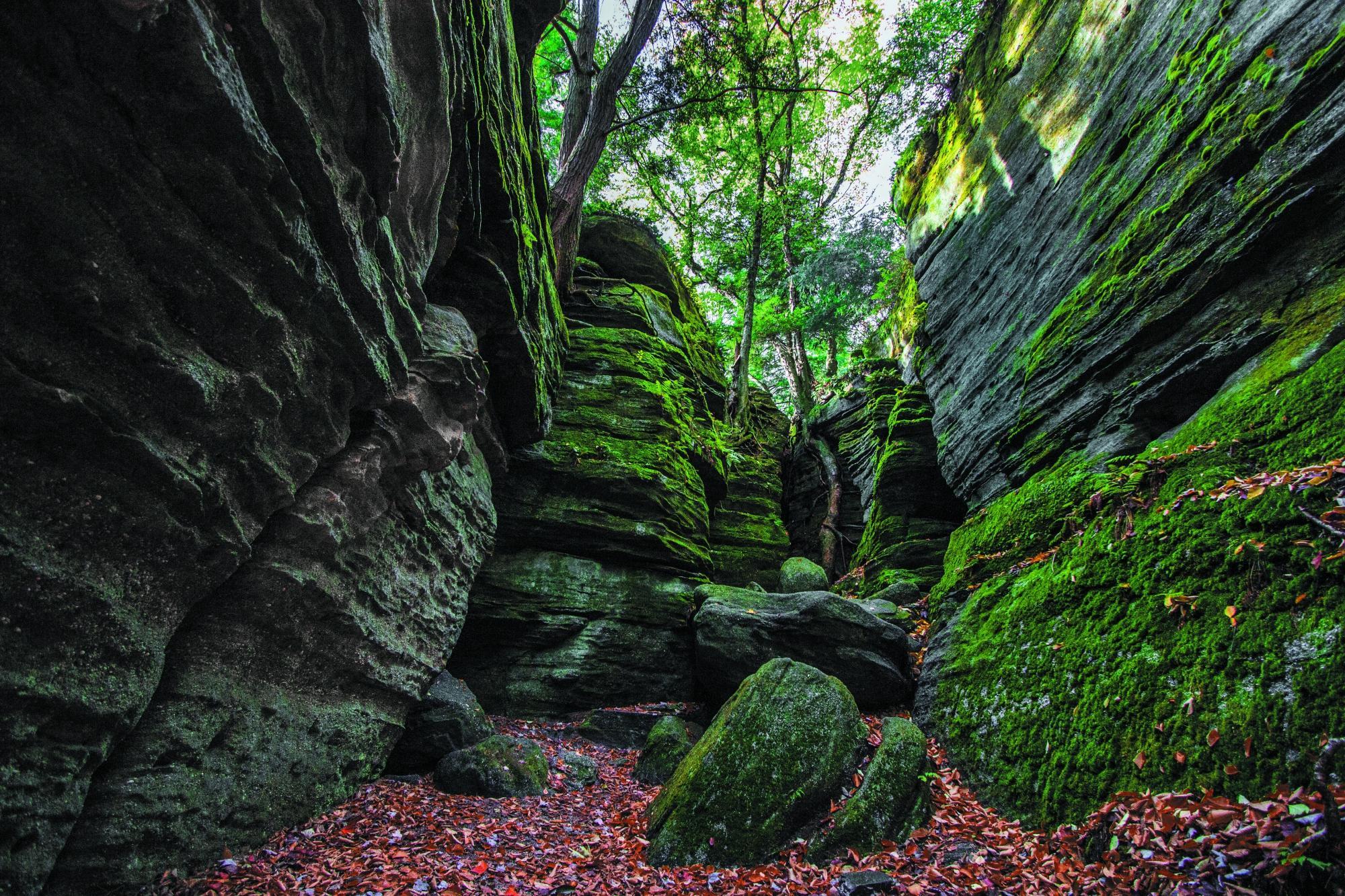 Panama Rocks Scenic Park