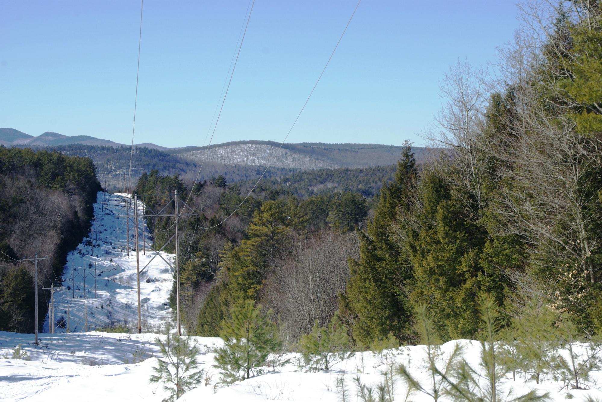 C&C Snowmobile Tours