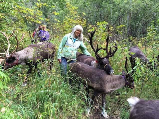 Running Reindeer Ranch