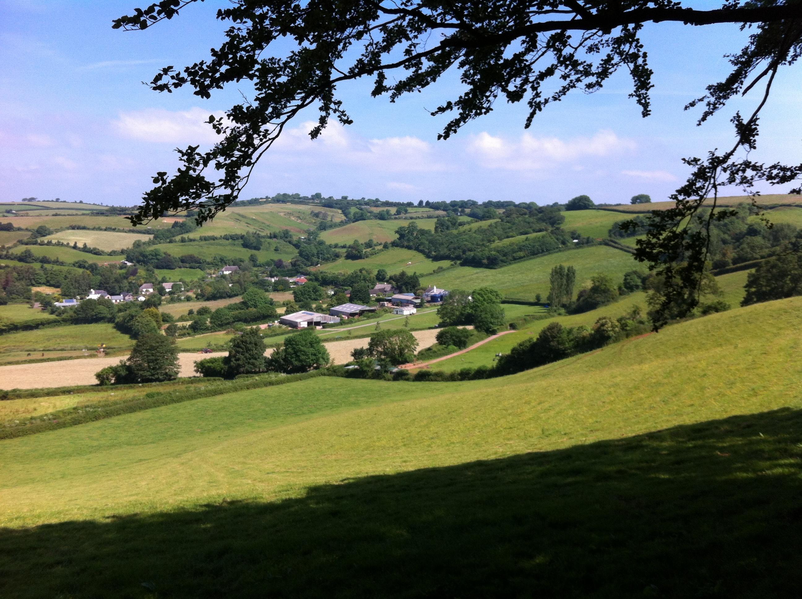 Manor Farm Campsite / B&B