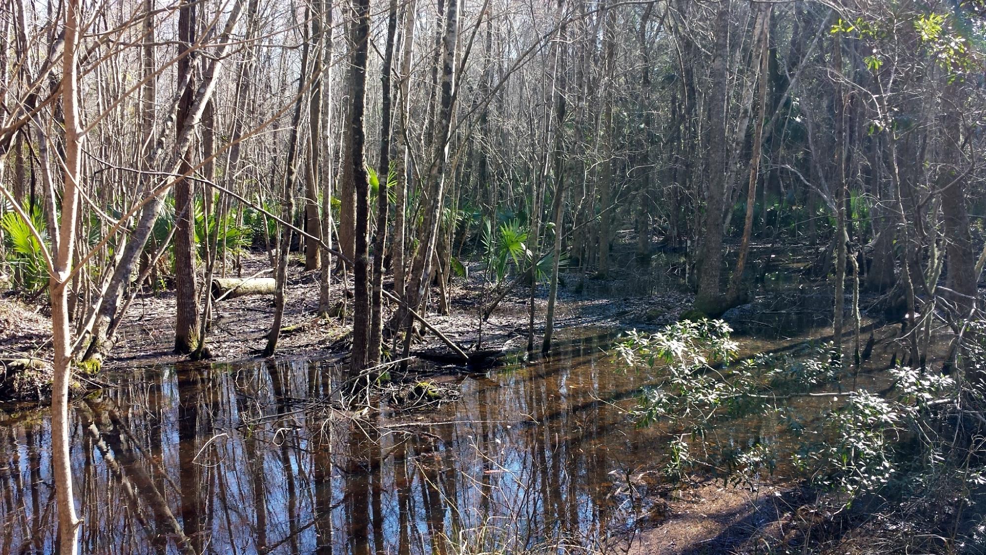 Laurel Hill County Park