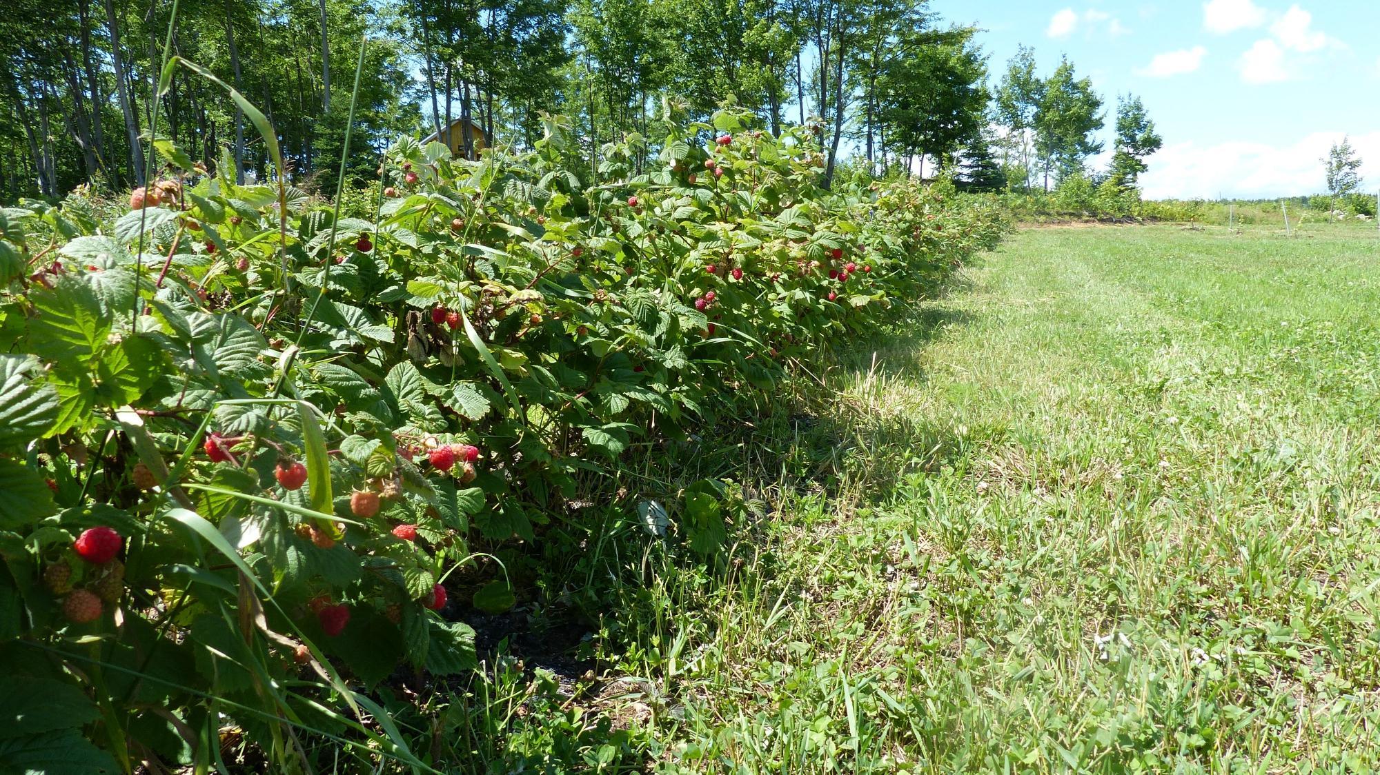 Ferme Nouvelle-France