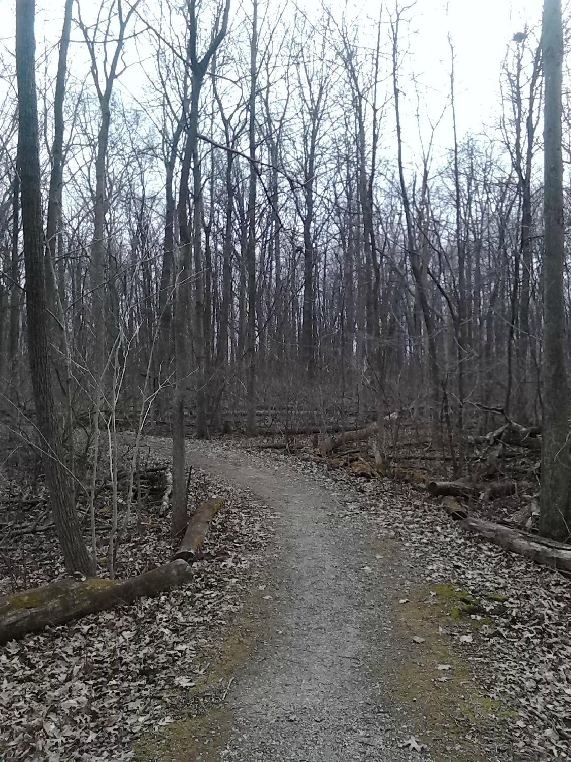 Devonwood Conservation Area