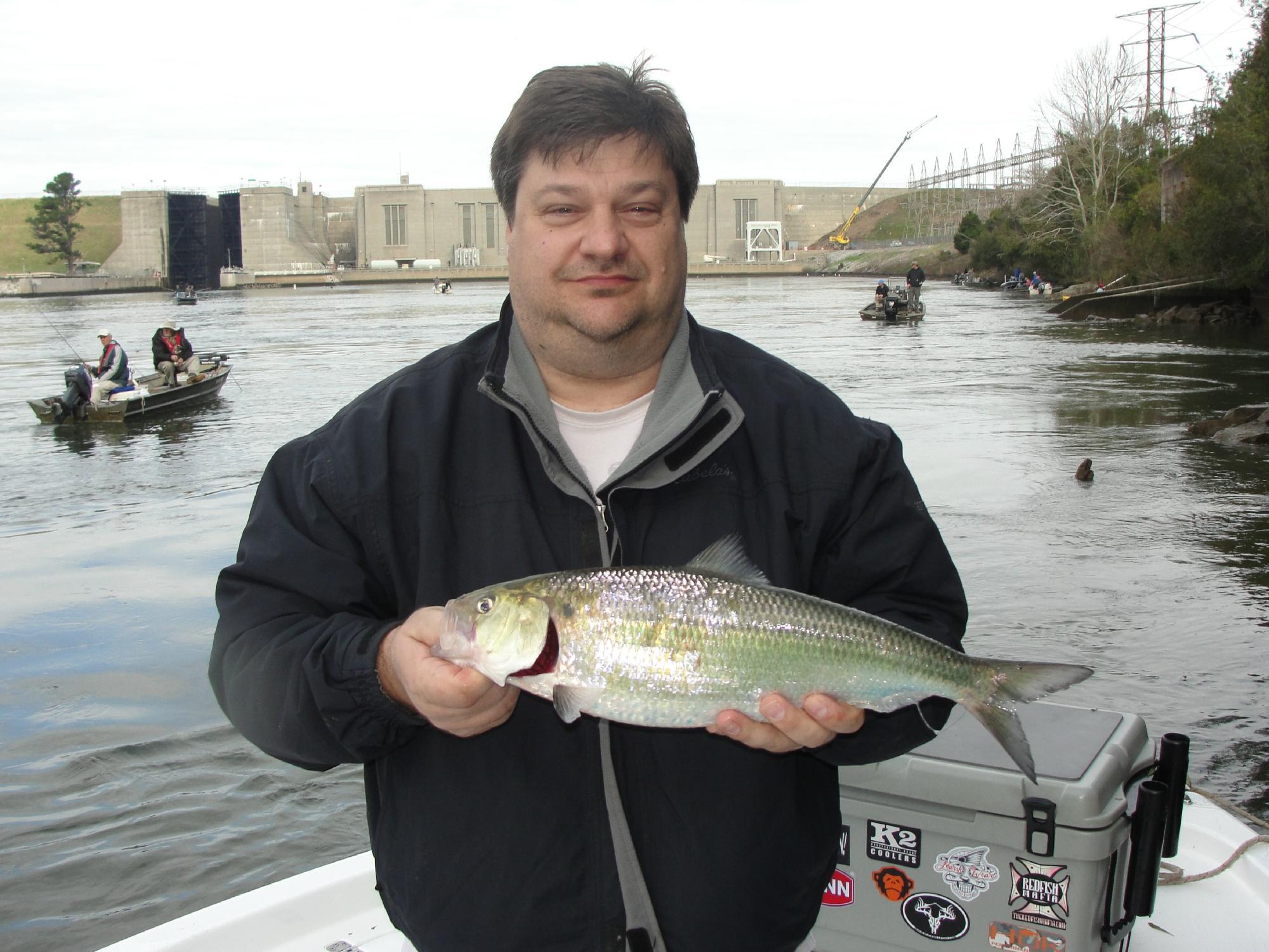 Redfish Mafia Charters
