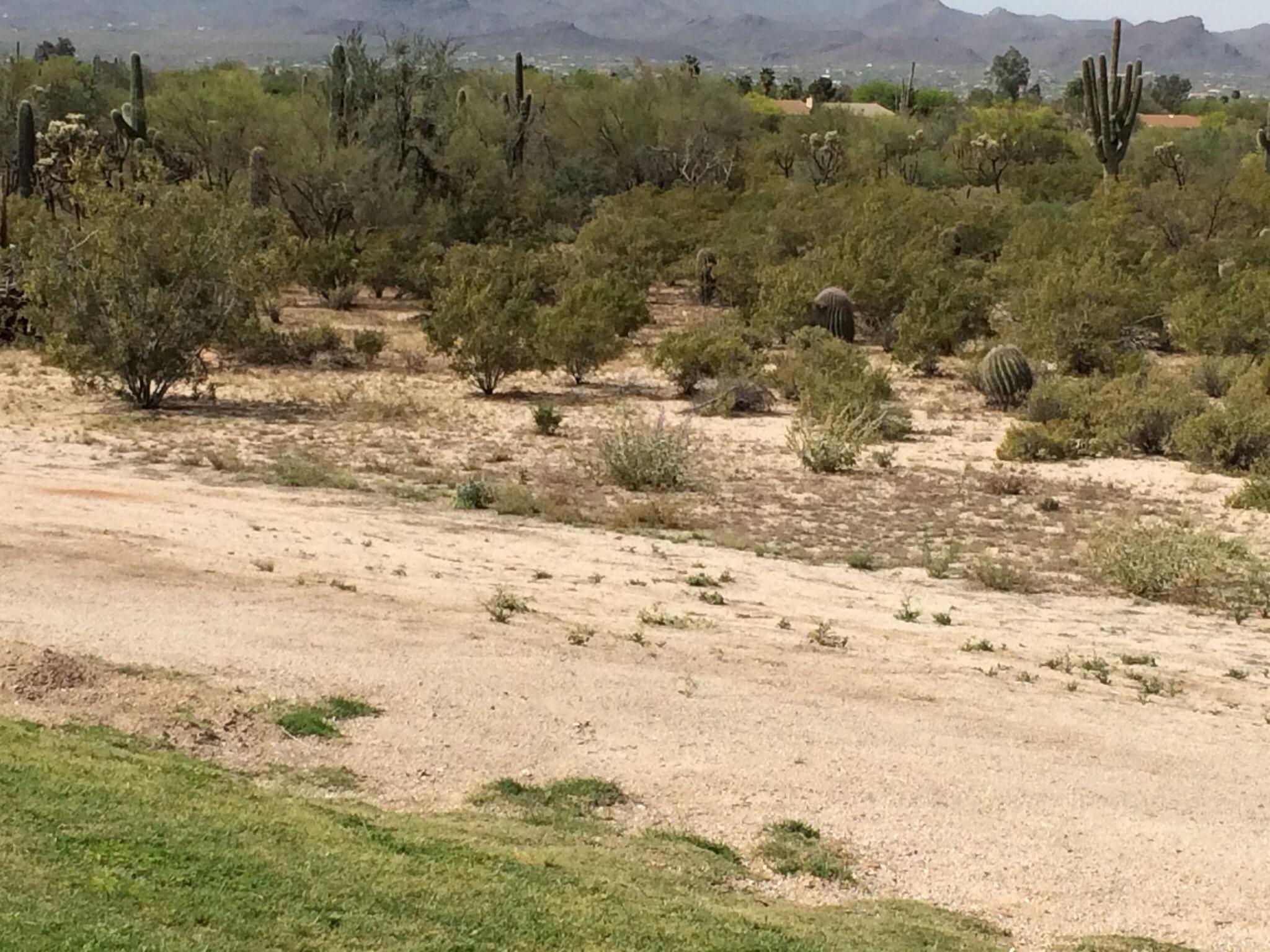 Crooked Tree Golf Course