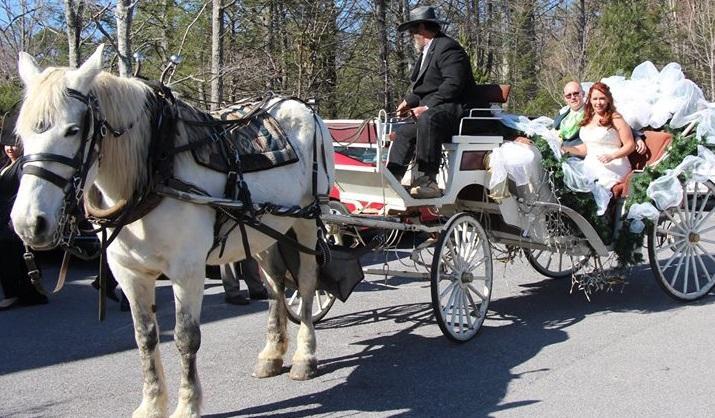 Heritage Carriage Rides
