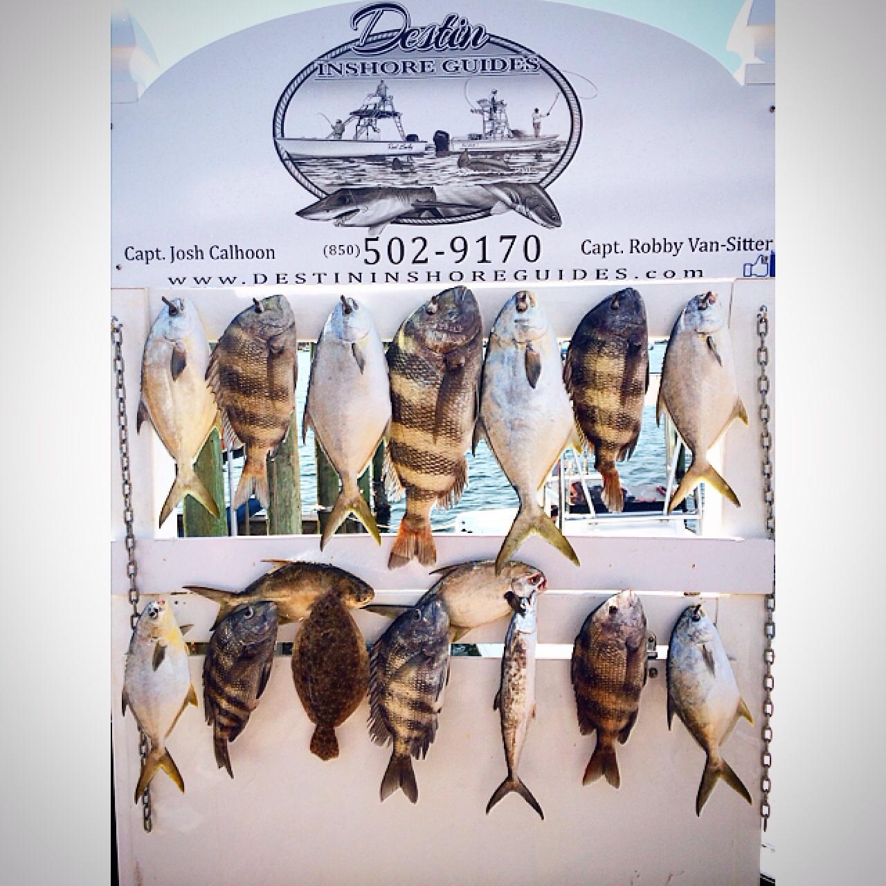 Photo by IvanDelgado14