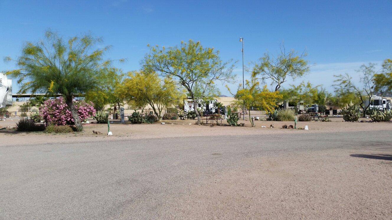 Mesa / Apache Junction KOA