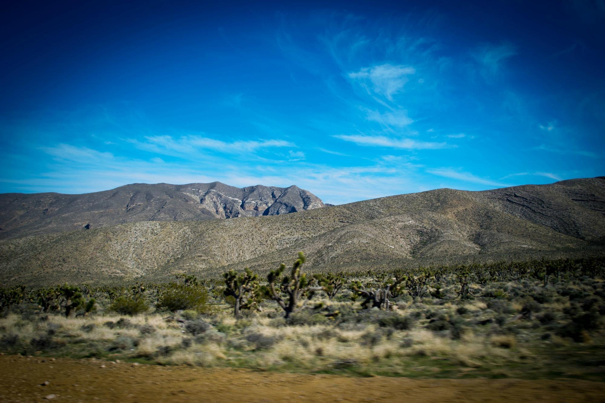 Spring Mountains National Recreational Area