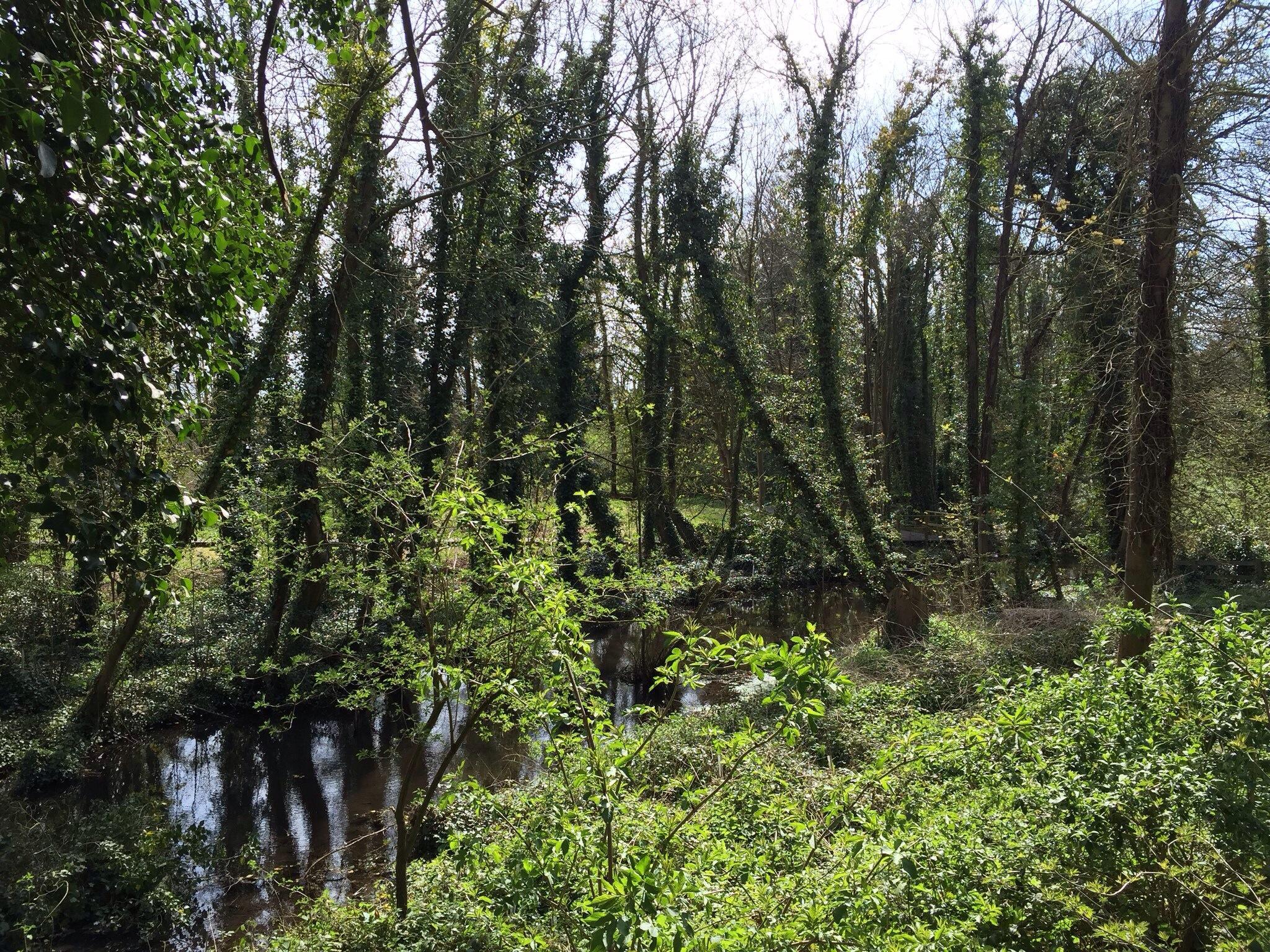 Oare Gunpowder Works Country Park