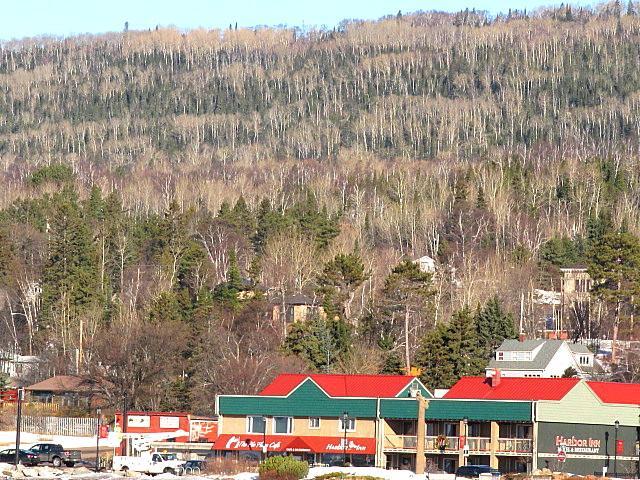 Photo by barbarastella2015