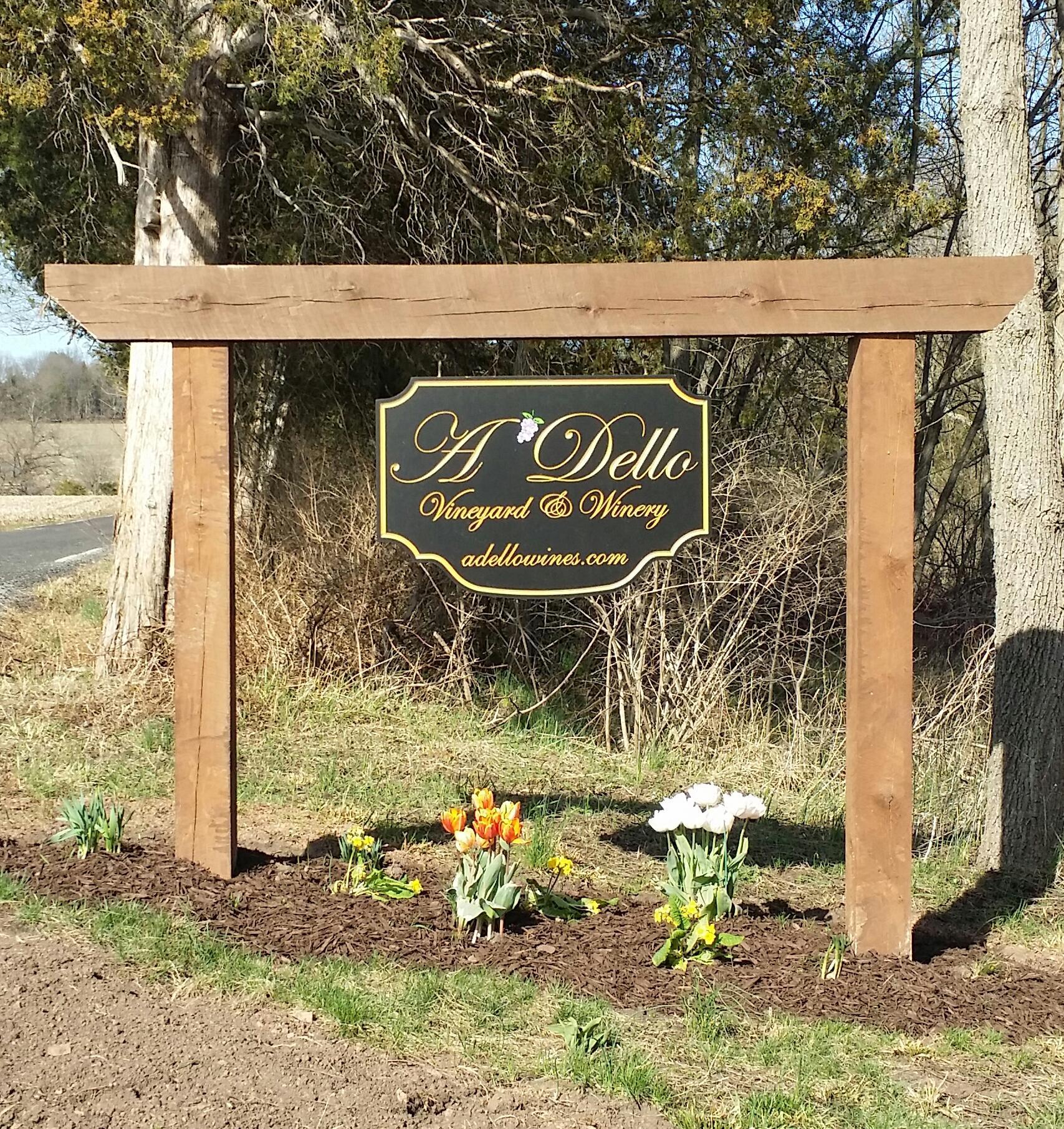 Photo by GlobeTrotting568191