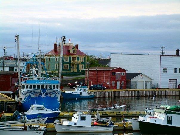 George C. Harris House - Museum of Local History