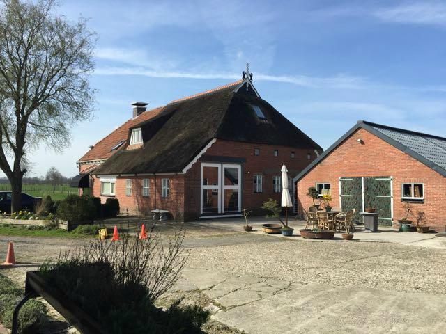 The Black Horse B&B & More