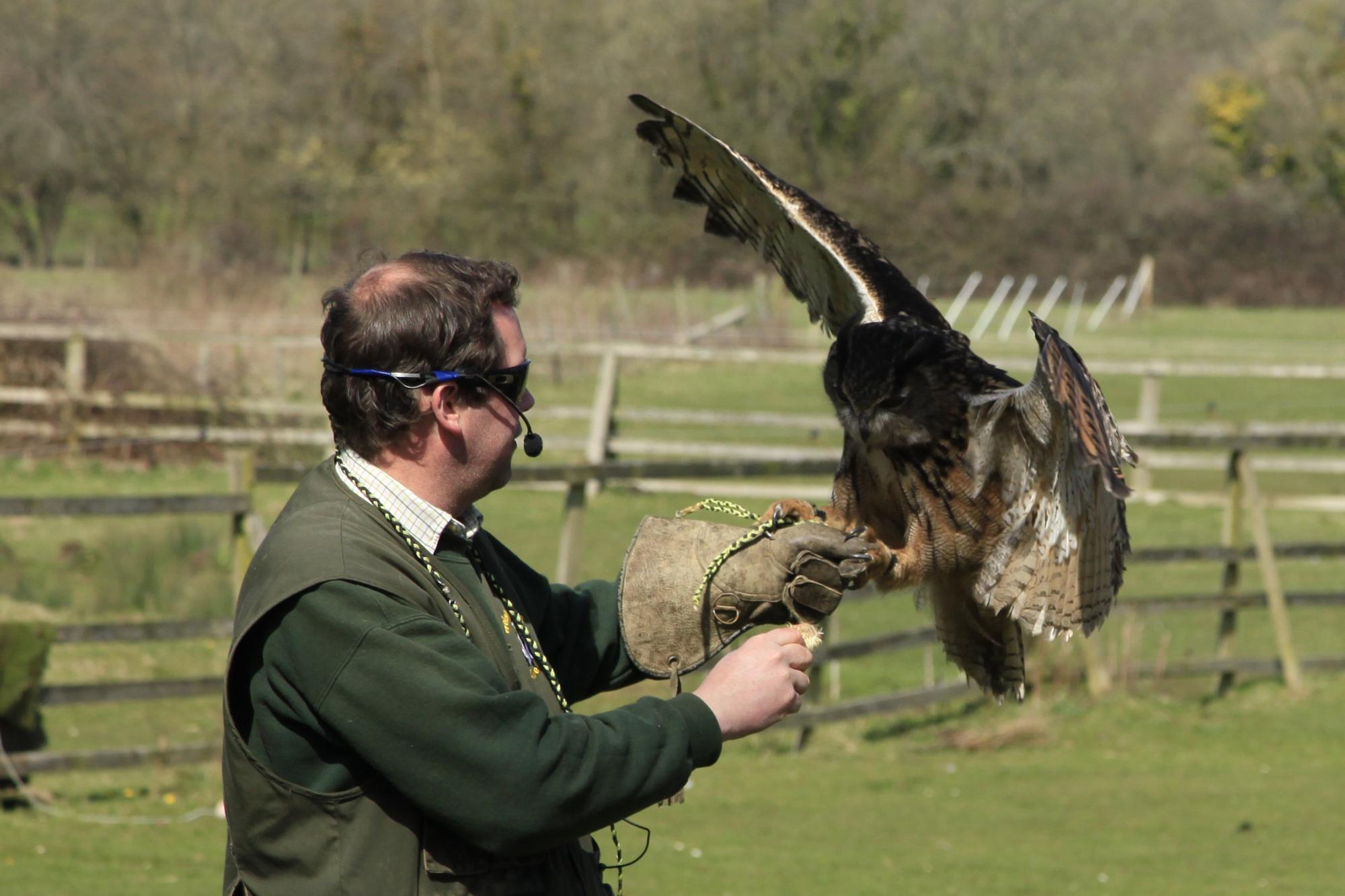 The Welsh Hawking Centre