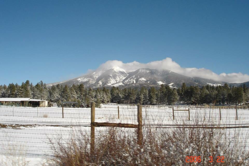 Swiss Manor Bed and Breakfast