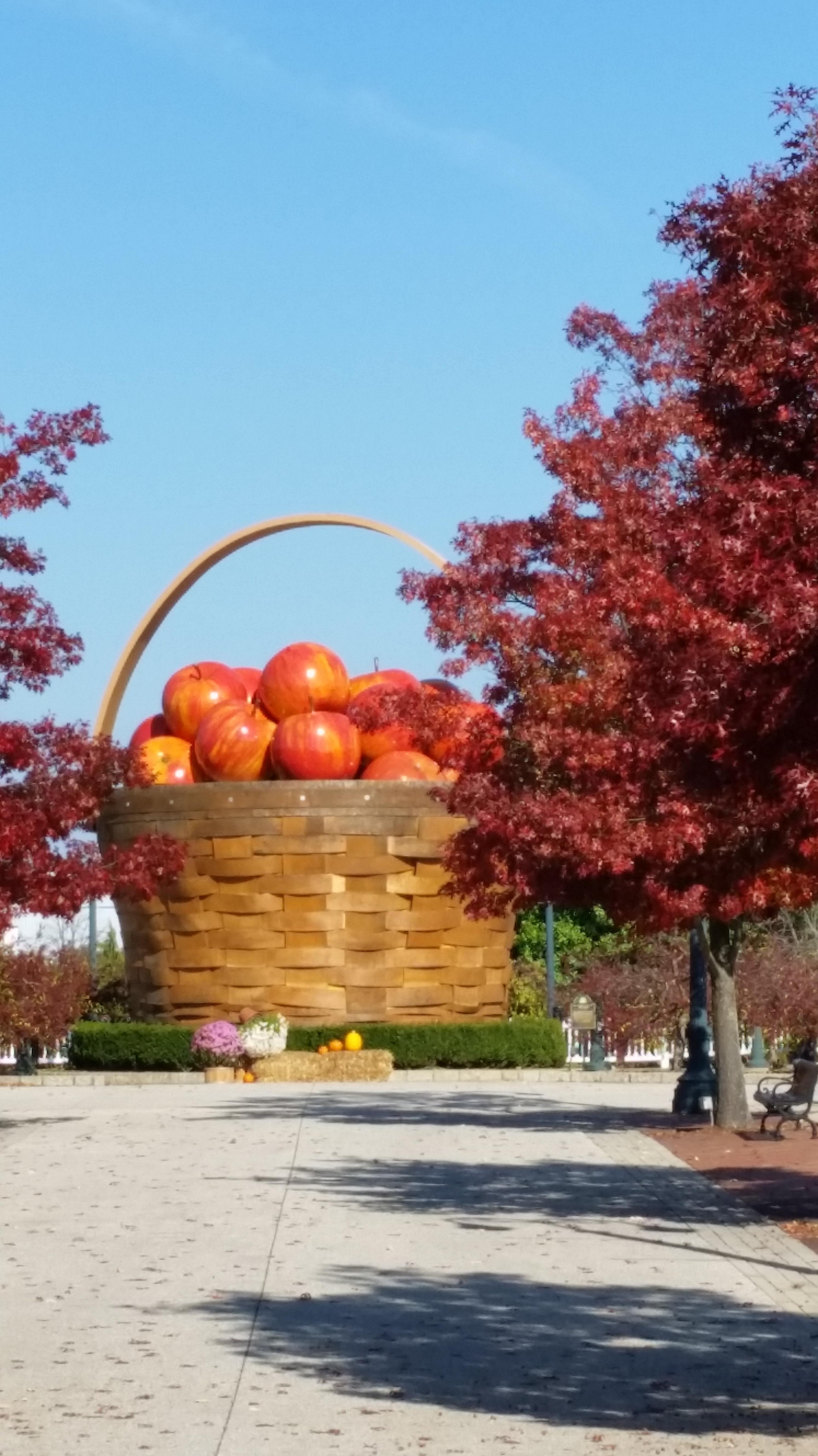 Homestead Longaberger Company