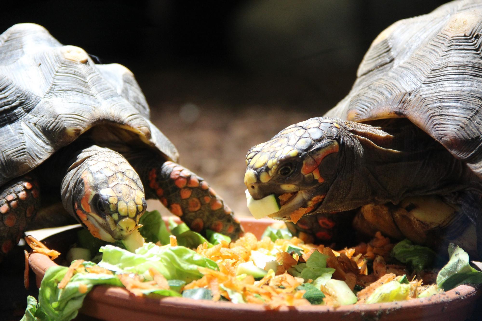 Photo by 625steffenr