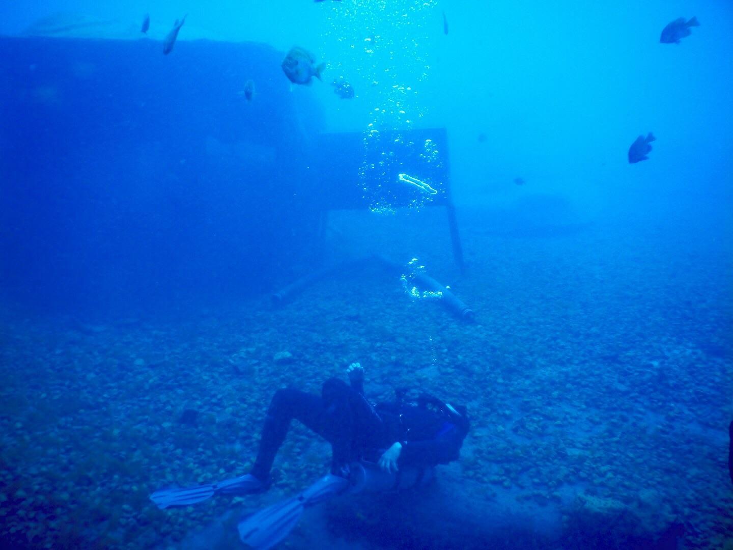 Valentine scuba divers