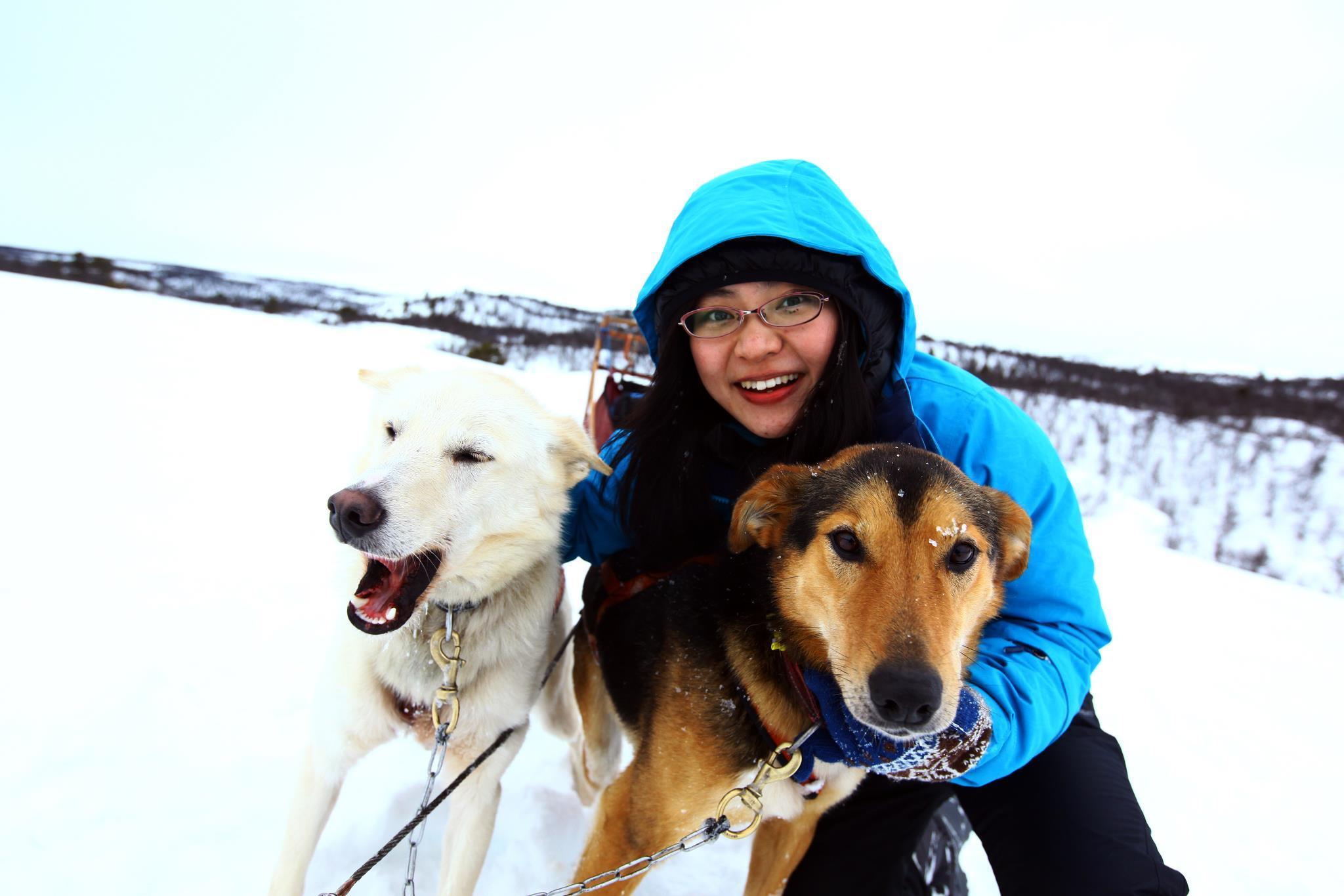 Alaskan Husky Tours Day Tours