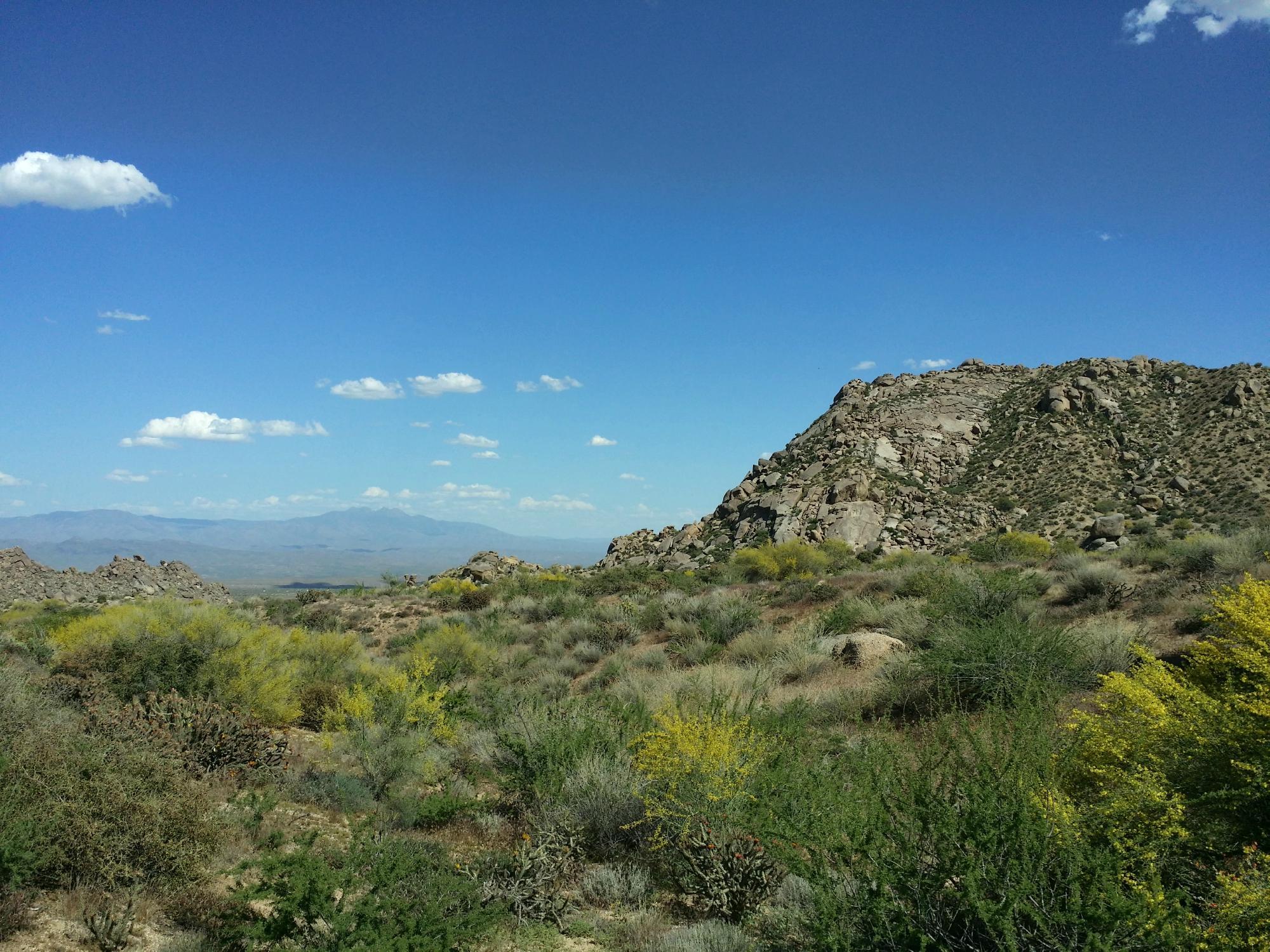 Marcus Landslide Trail