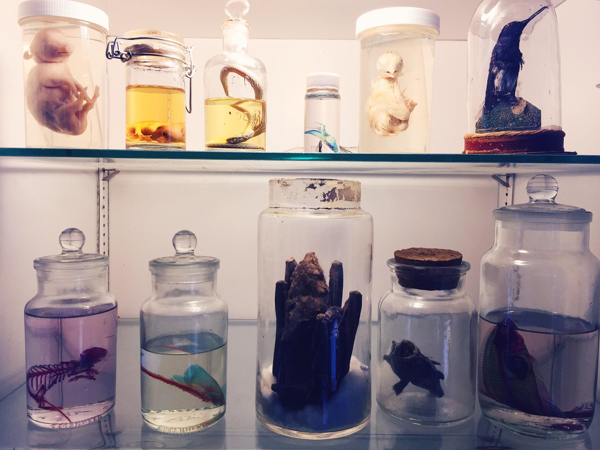 Photo by kristian_cruz