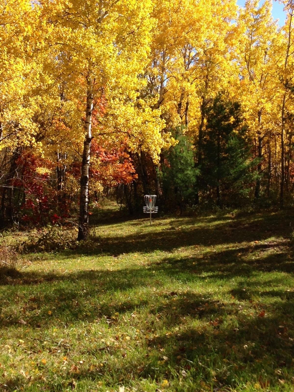 Tjader Acres Disc Golf Course