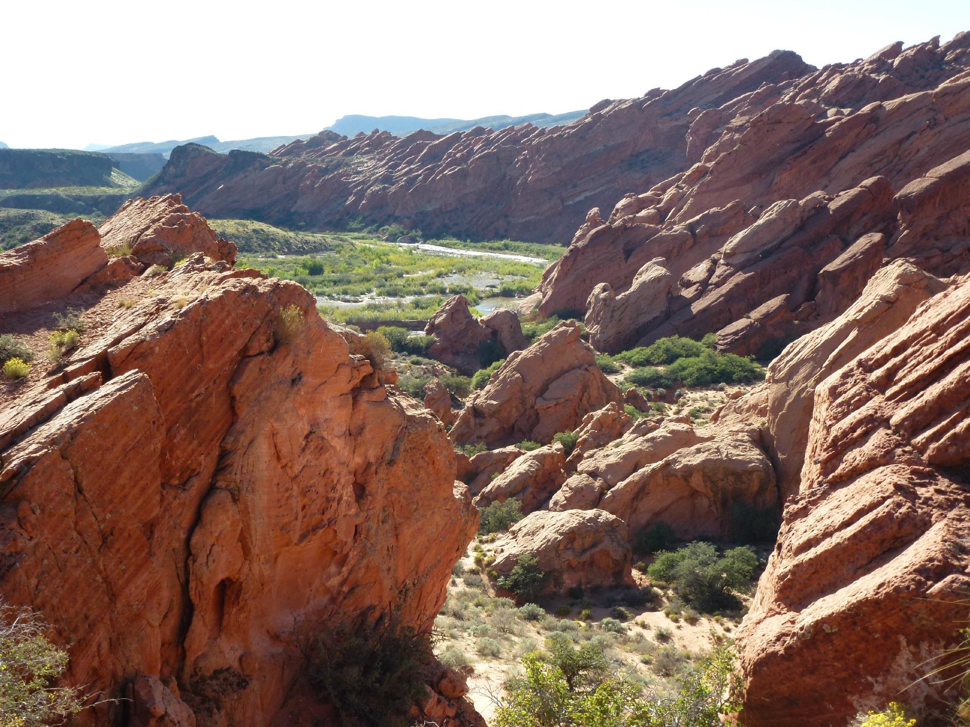 Red Cliffs National Conservation Area