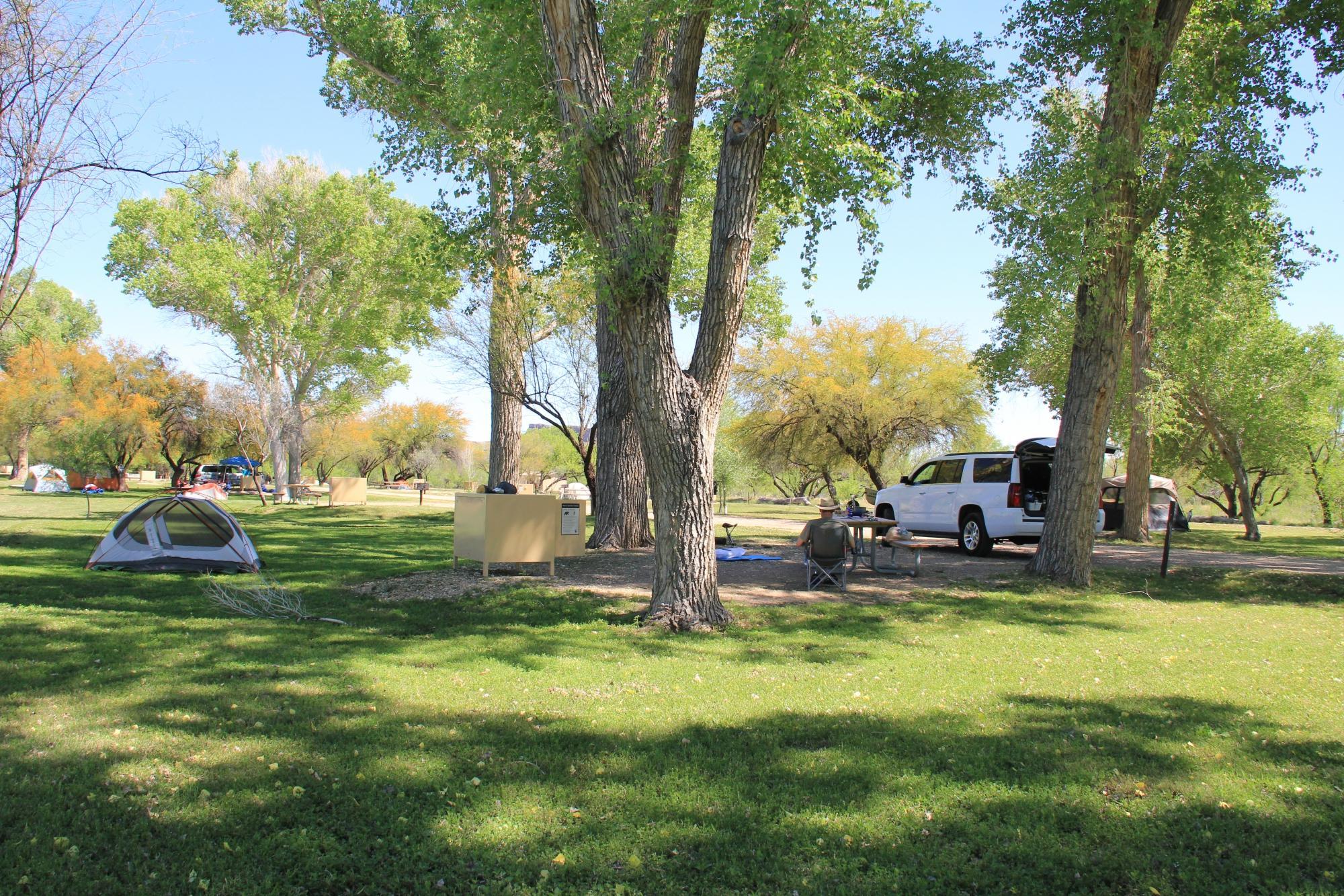 Castolon Campground