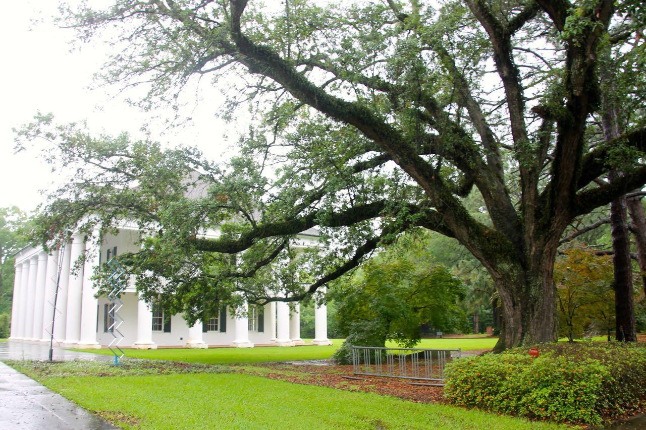 Paul and Lulu Hilliard University Art Museum