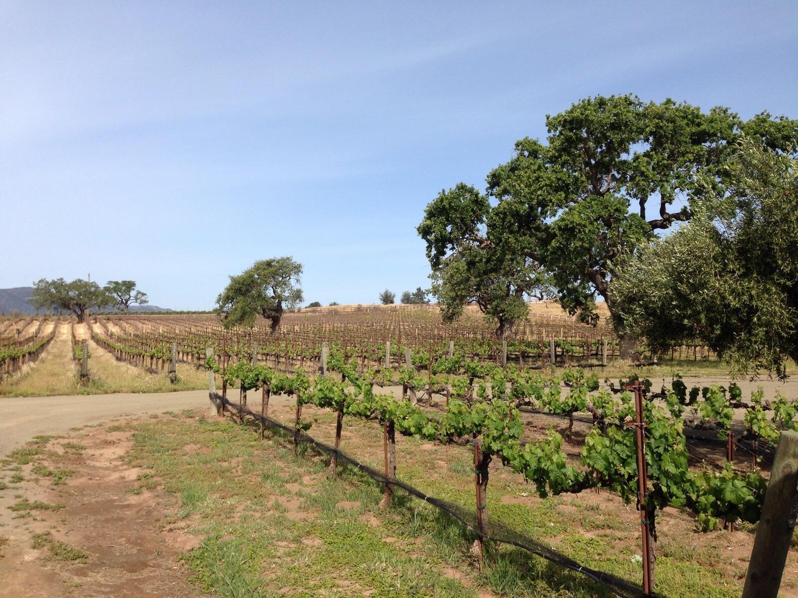 Stagecoach Co. Wine Tours