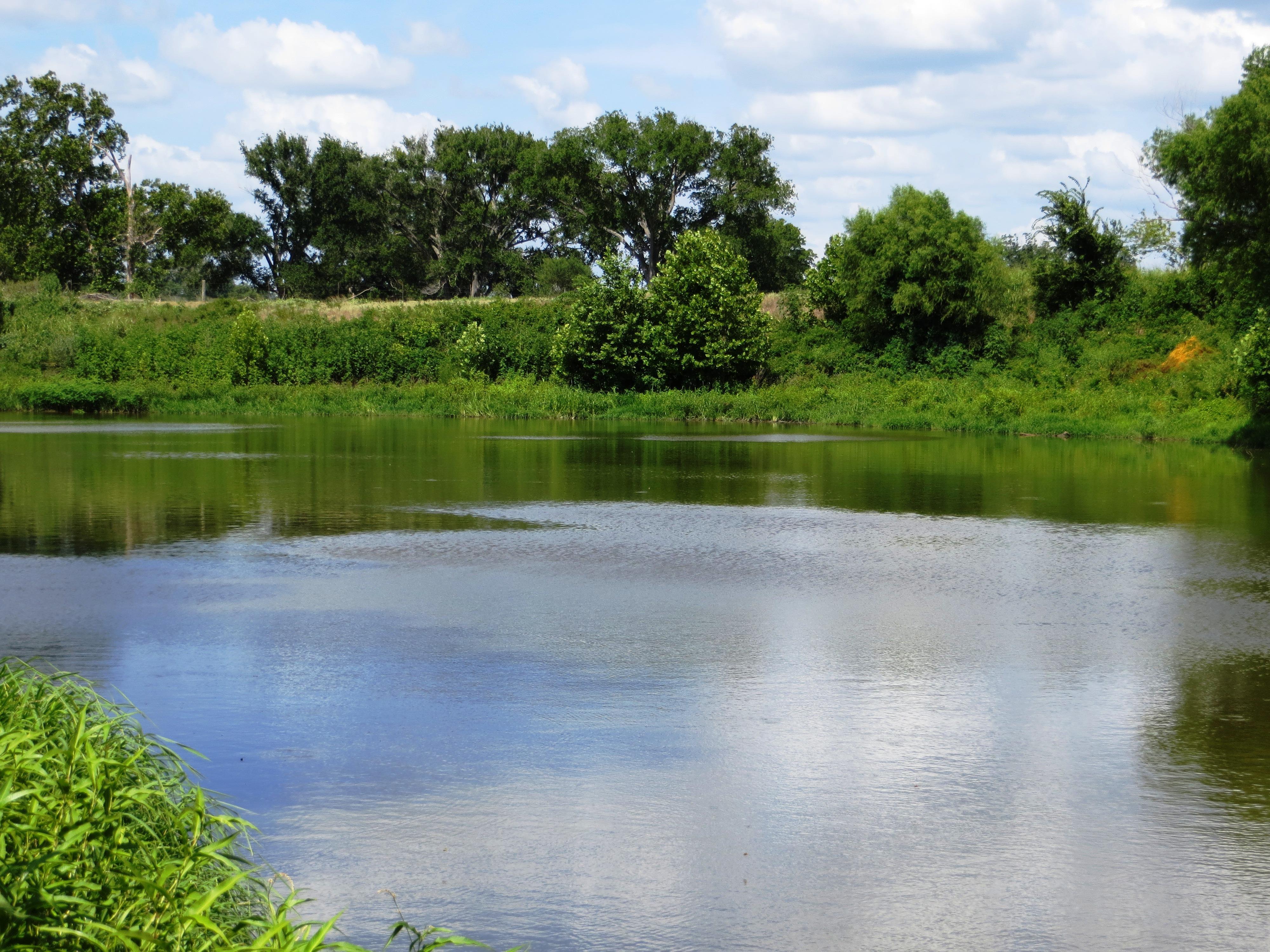 Plum Park on the Colorado
