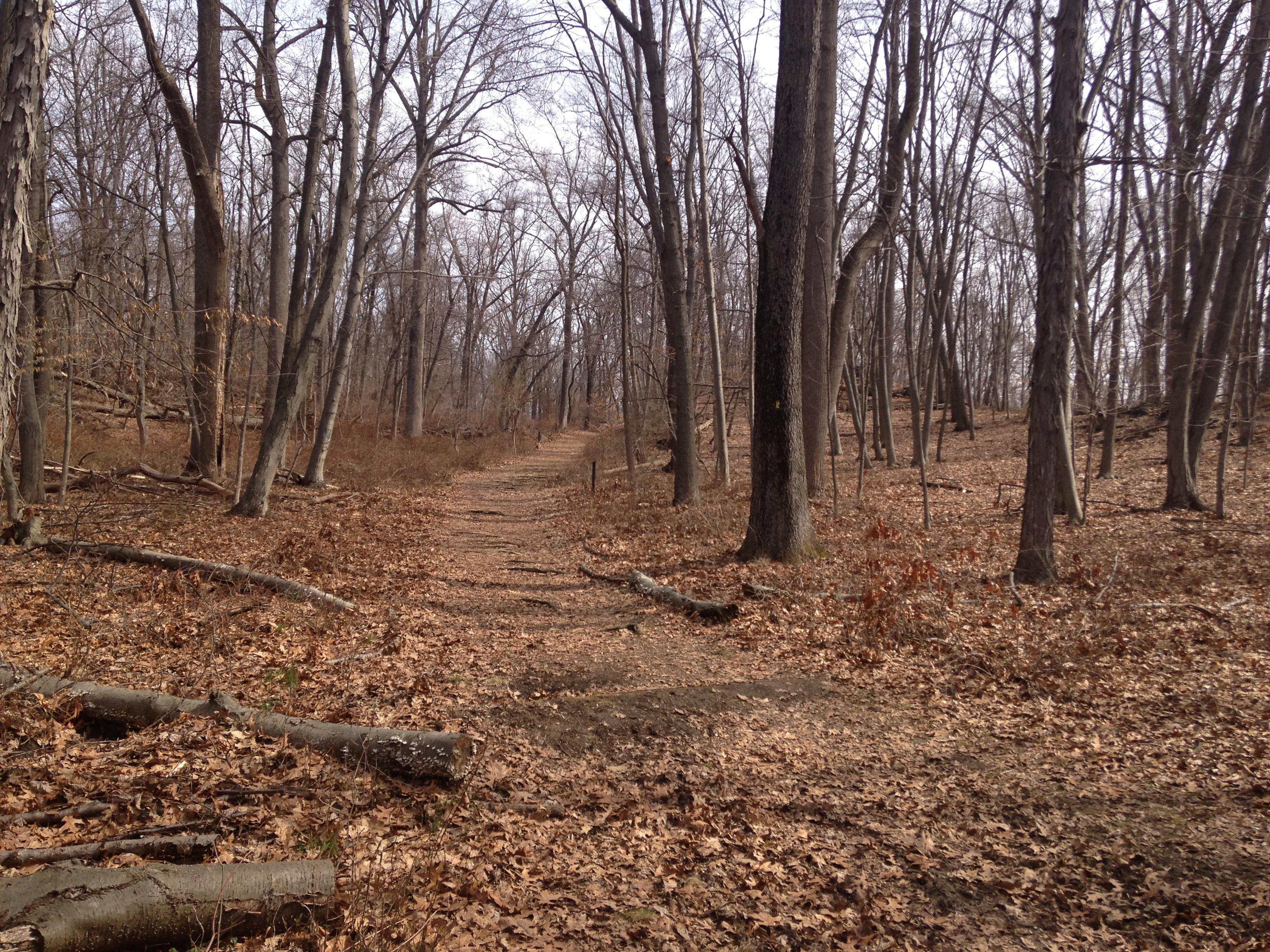 Brinton Brook Sanctuary